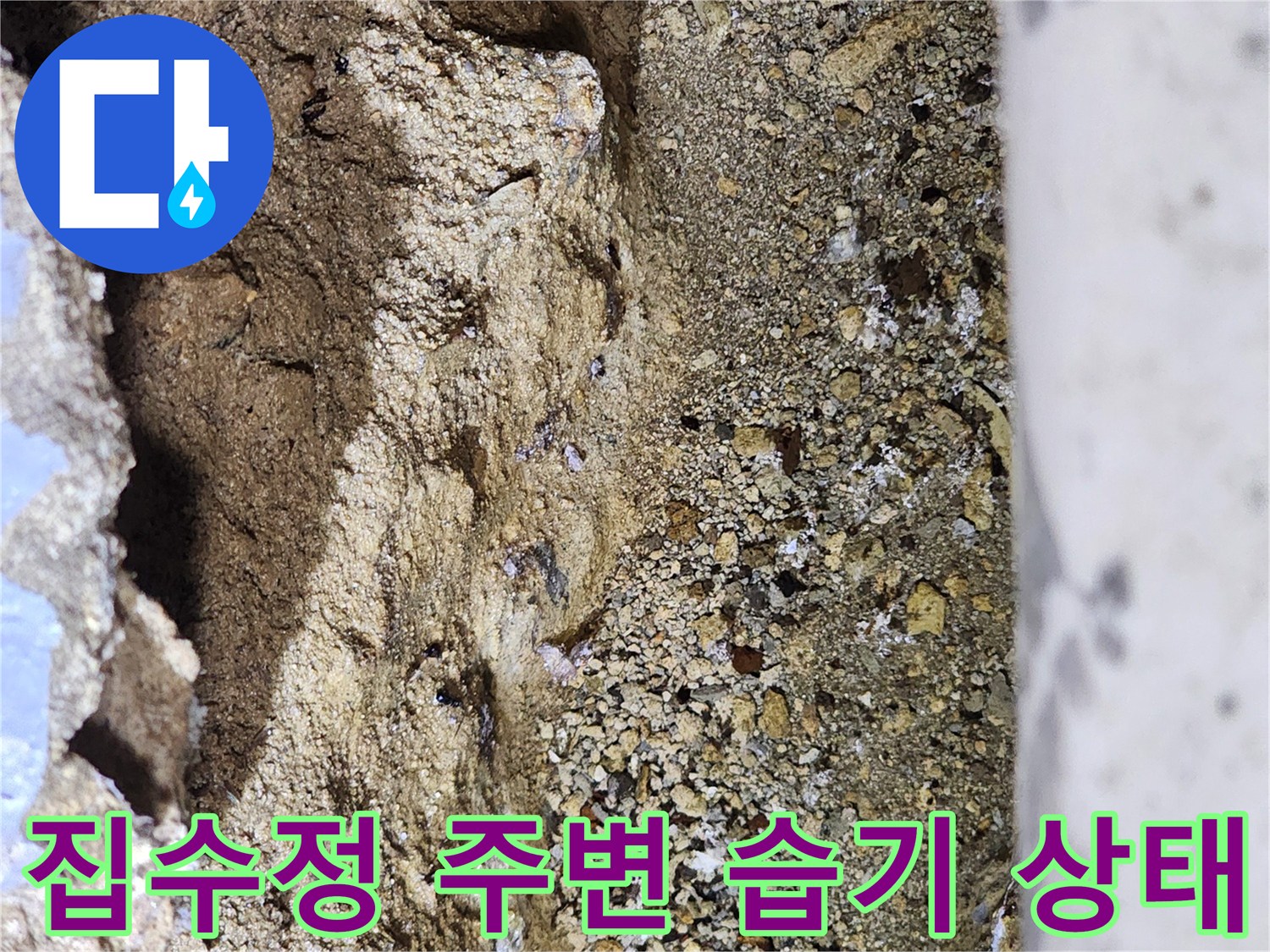 마포구-상가-지하-집수정-주변-습기-및-토사-상태