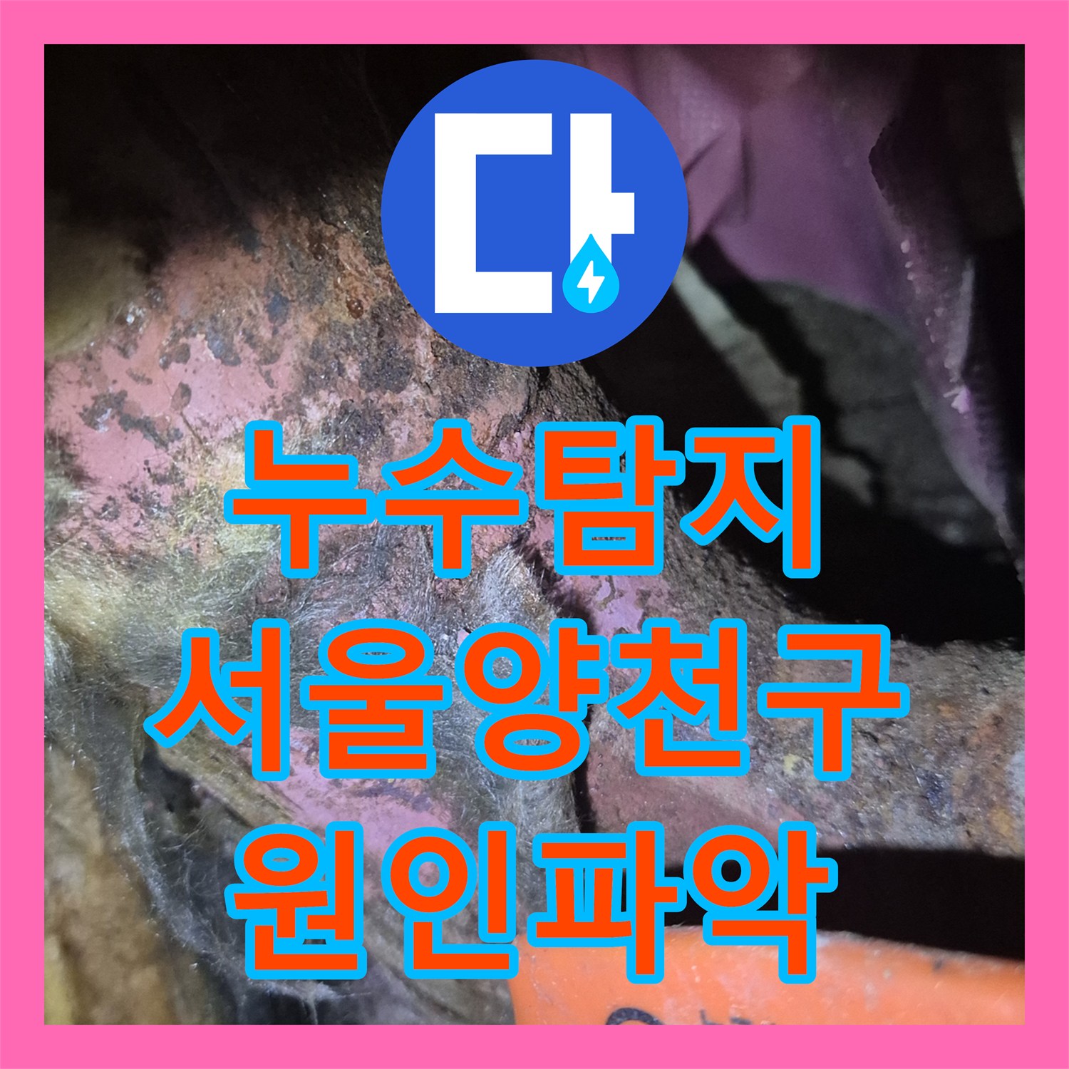 누수탐지 아파트 1층 세대 메인관 노후로 인한 지하주차장 물샘 진단 서울 양천구 목동