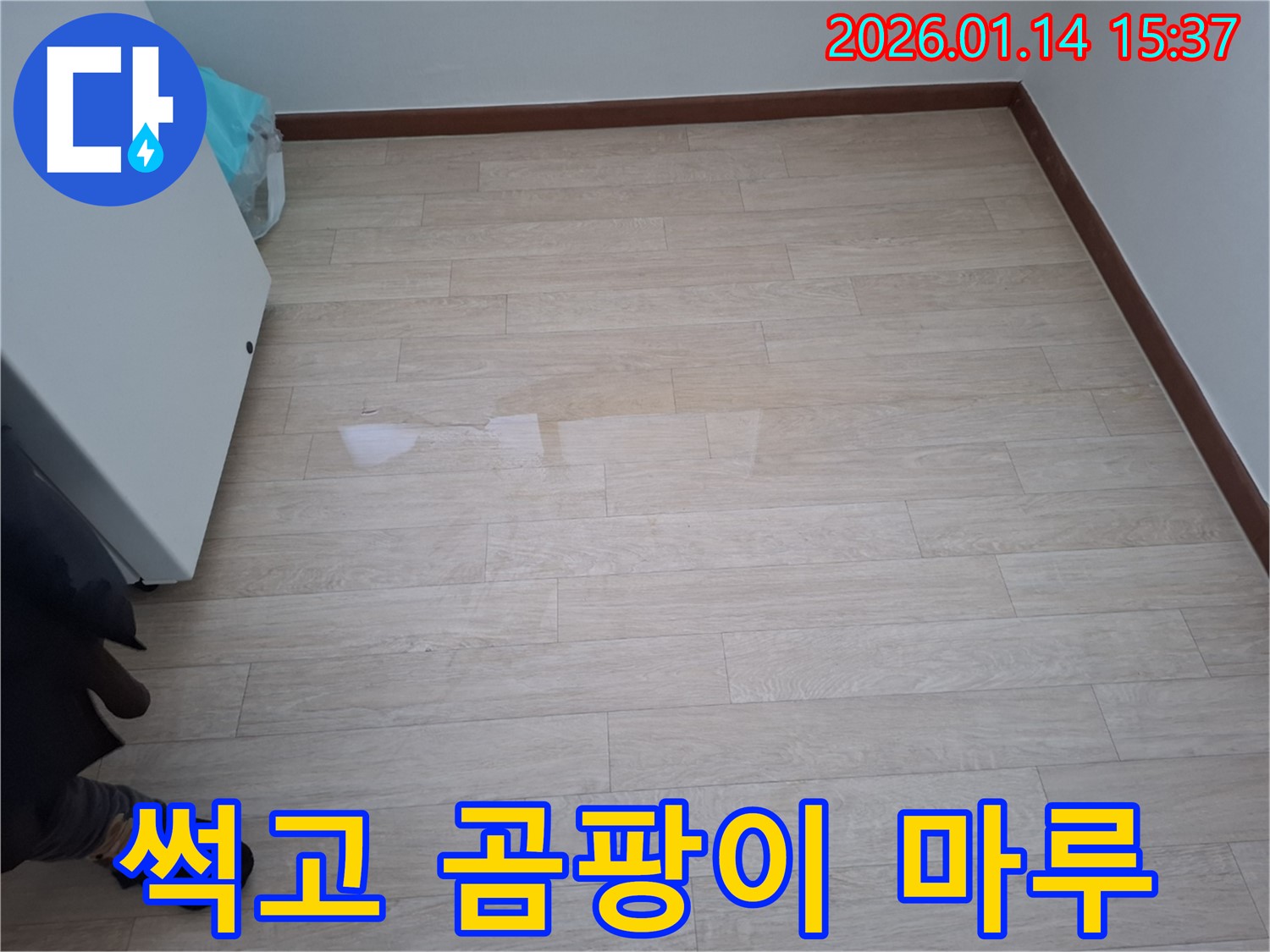 시흥 정왕본동에서 마루 썩음 및 곰팡이 현상을 확인하고 누수 해결 및 마루 완전 교체를 진행하는 모습 - 심각한 마루 손상은 전체 교체가 필요할 수 있습니다.