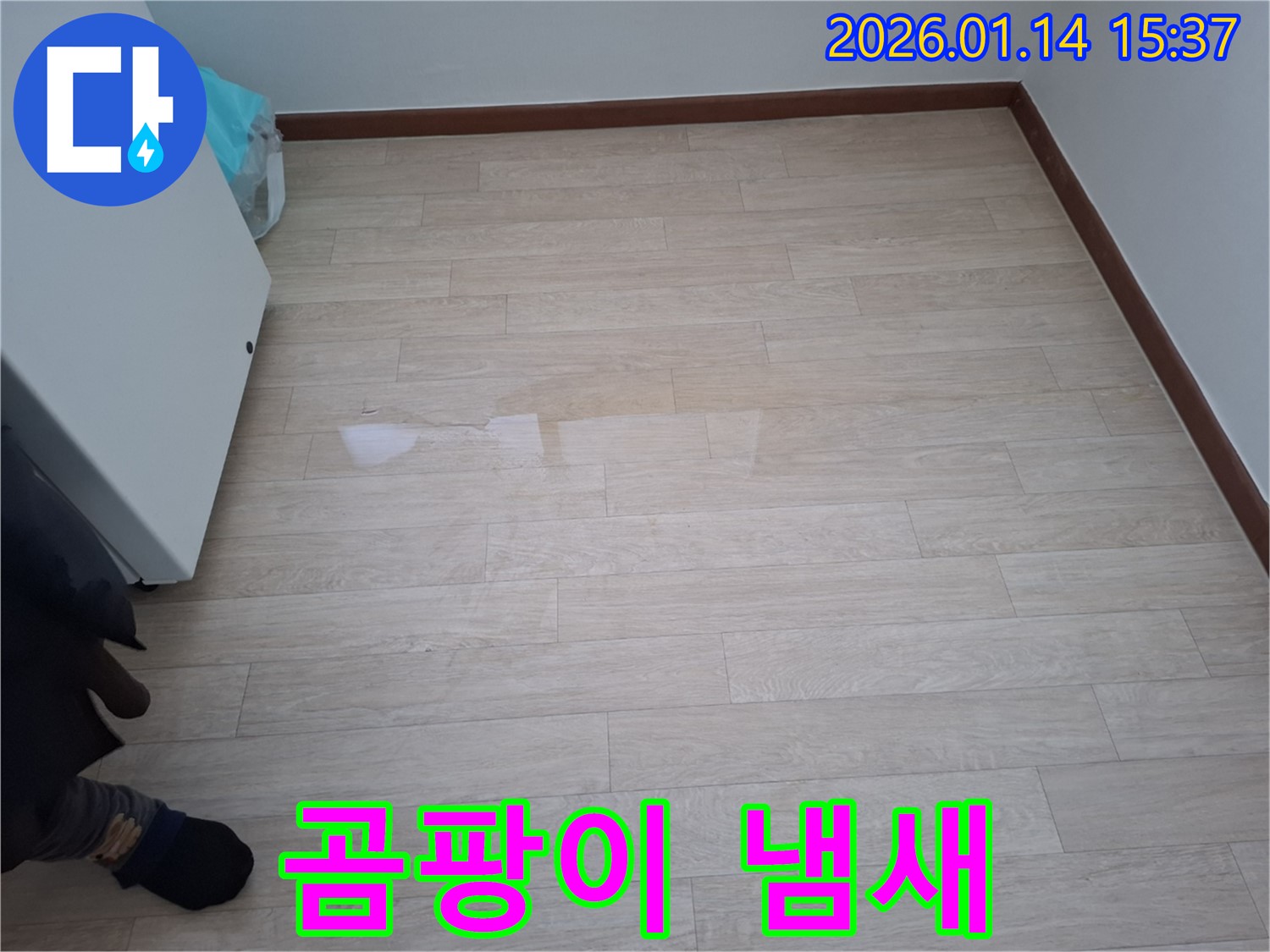 시흥 황고개로 206번길 - 마루 곰팡이 냄새 - 건강 위협 가능성 - 곰팡이 제거가 필수입니다.