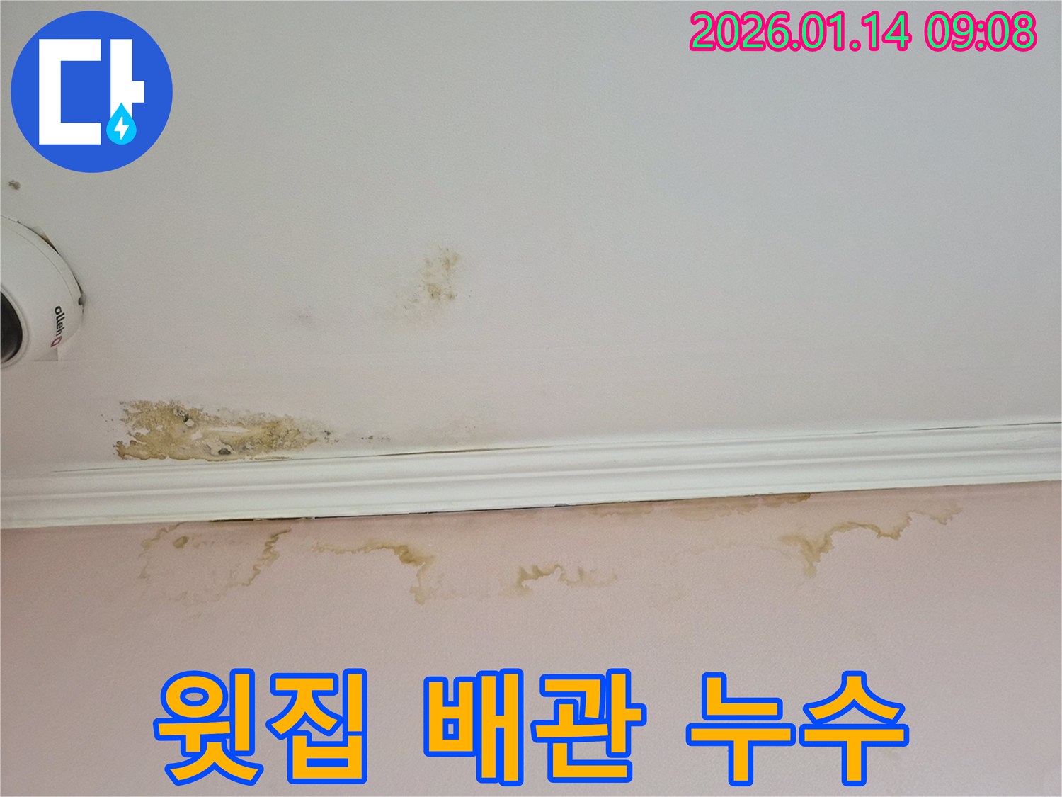 강남구 도곡동 아파트에서 발생한 윗집 배관 누수로 인한 천장 및 벽면 피해-전문적인 탐지와 해결이 필요합니다.