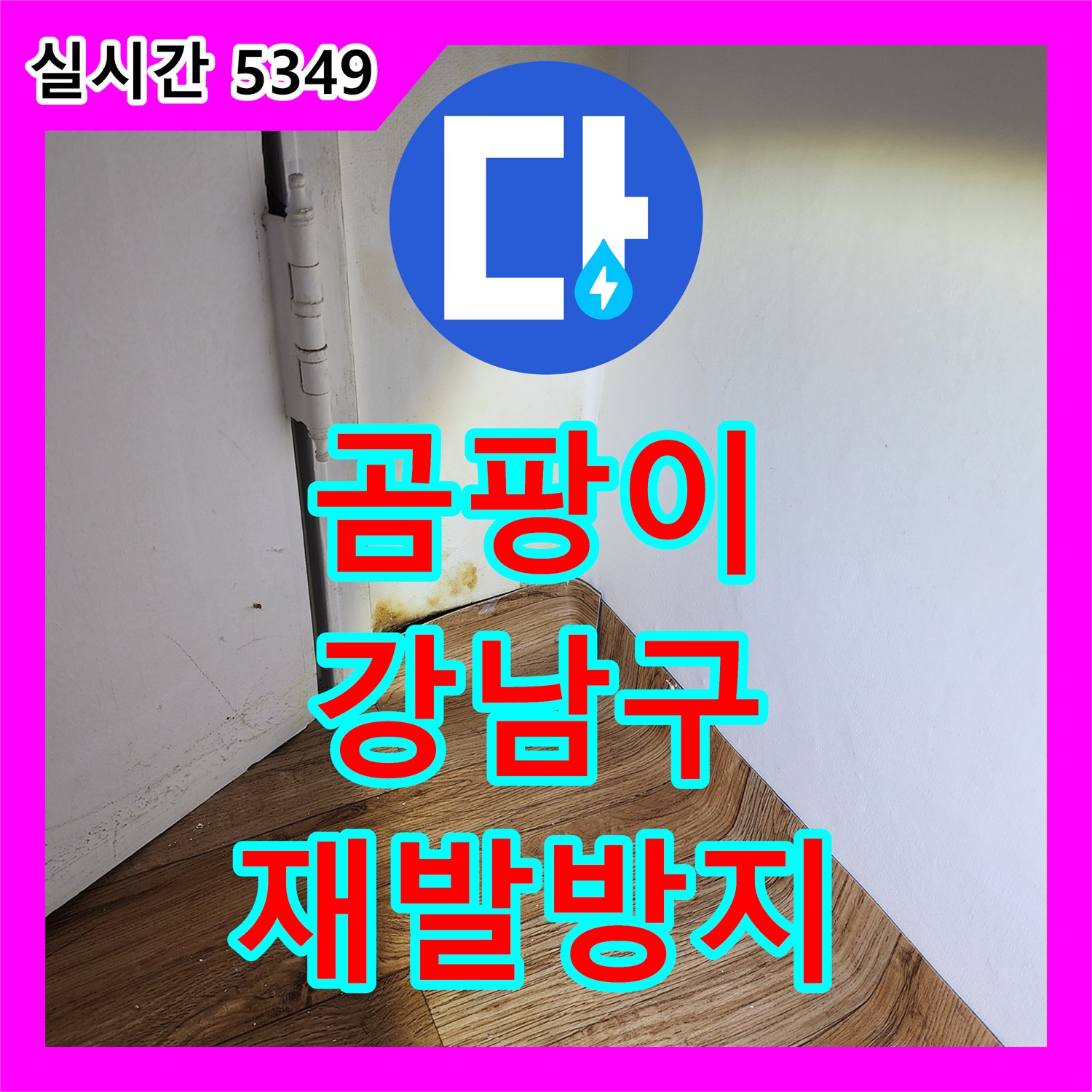 누수설비업체 곰팡이와 누수 흔적의 원인이 되는 누수 지점을 최첨단 장비로 찾아 재발 방지 시공 강남구