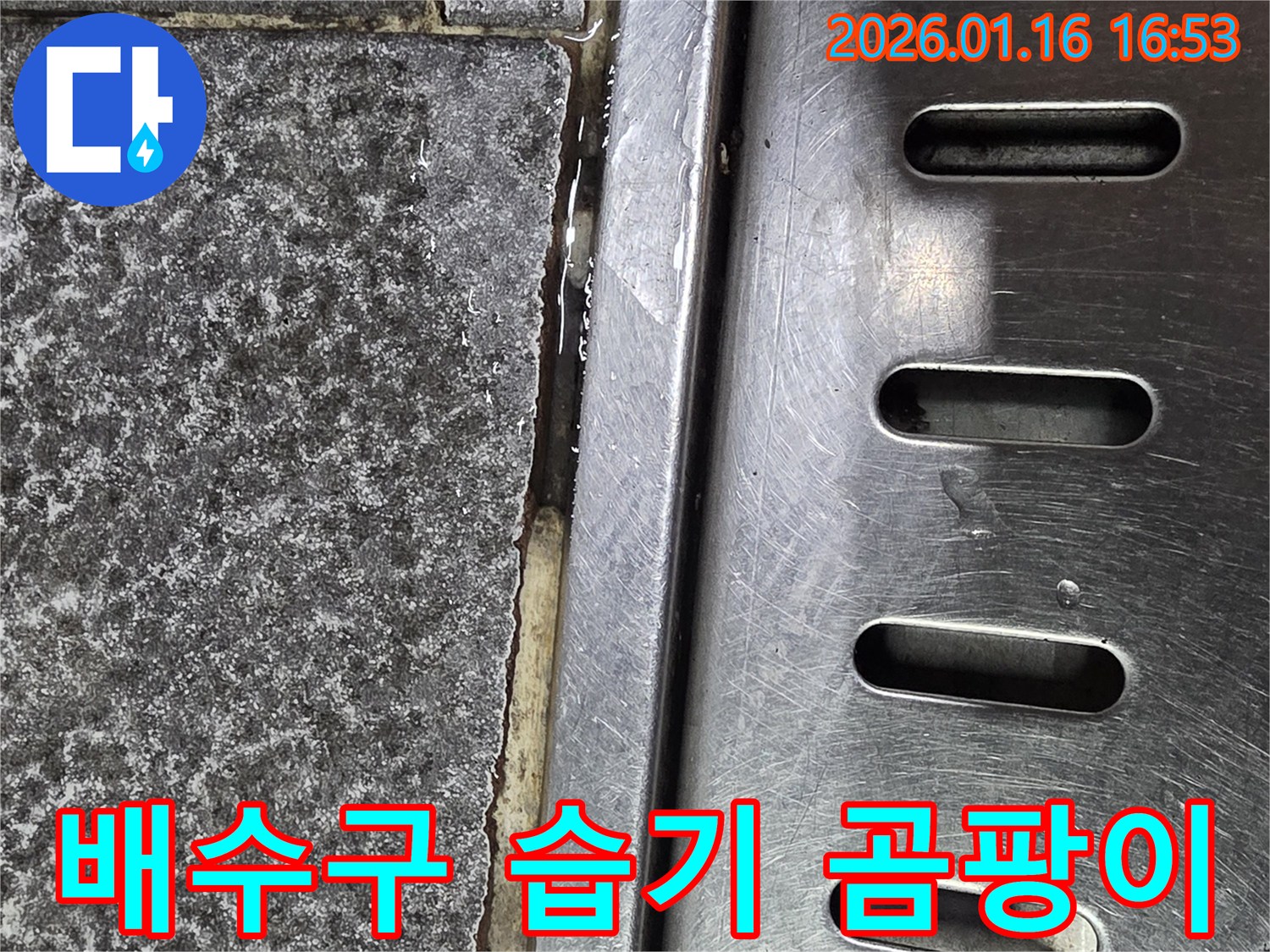 구로1동 배수구 주변 습기-곰팡이 발생 및 누수 연관성 분석