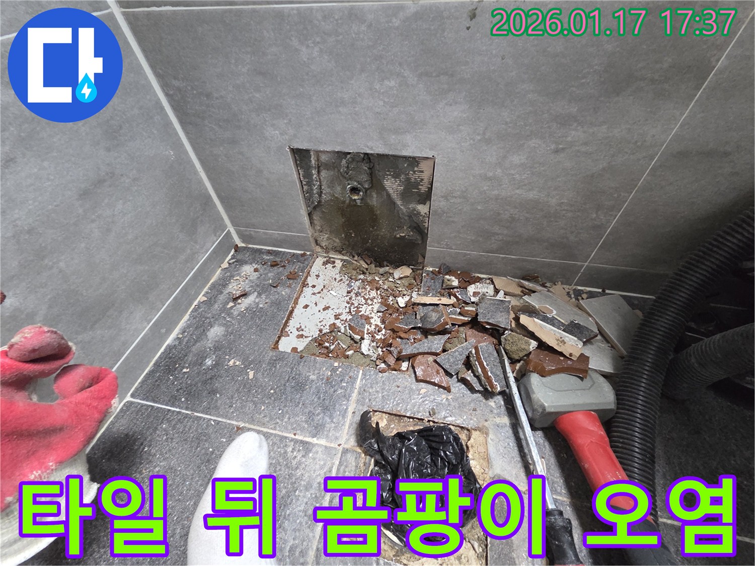 서울 중랑구 욕실 누수 - 타일 뒤편에 발생한 곰팡이 및 오염 상태 확인