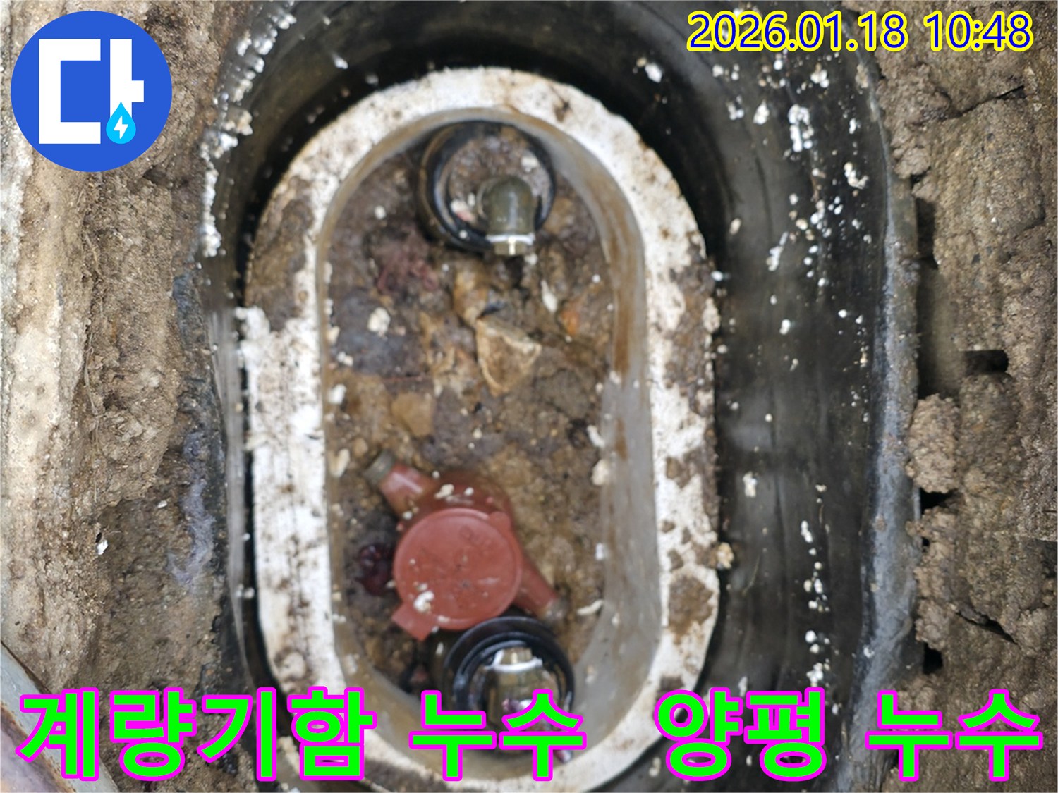 양평군 용문면에서 발생한 수도 계량기함 누수 - 전문 누수탐지 기술로 정확하게 진단하고 해결했습니다.