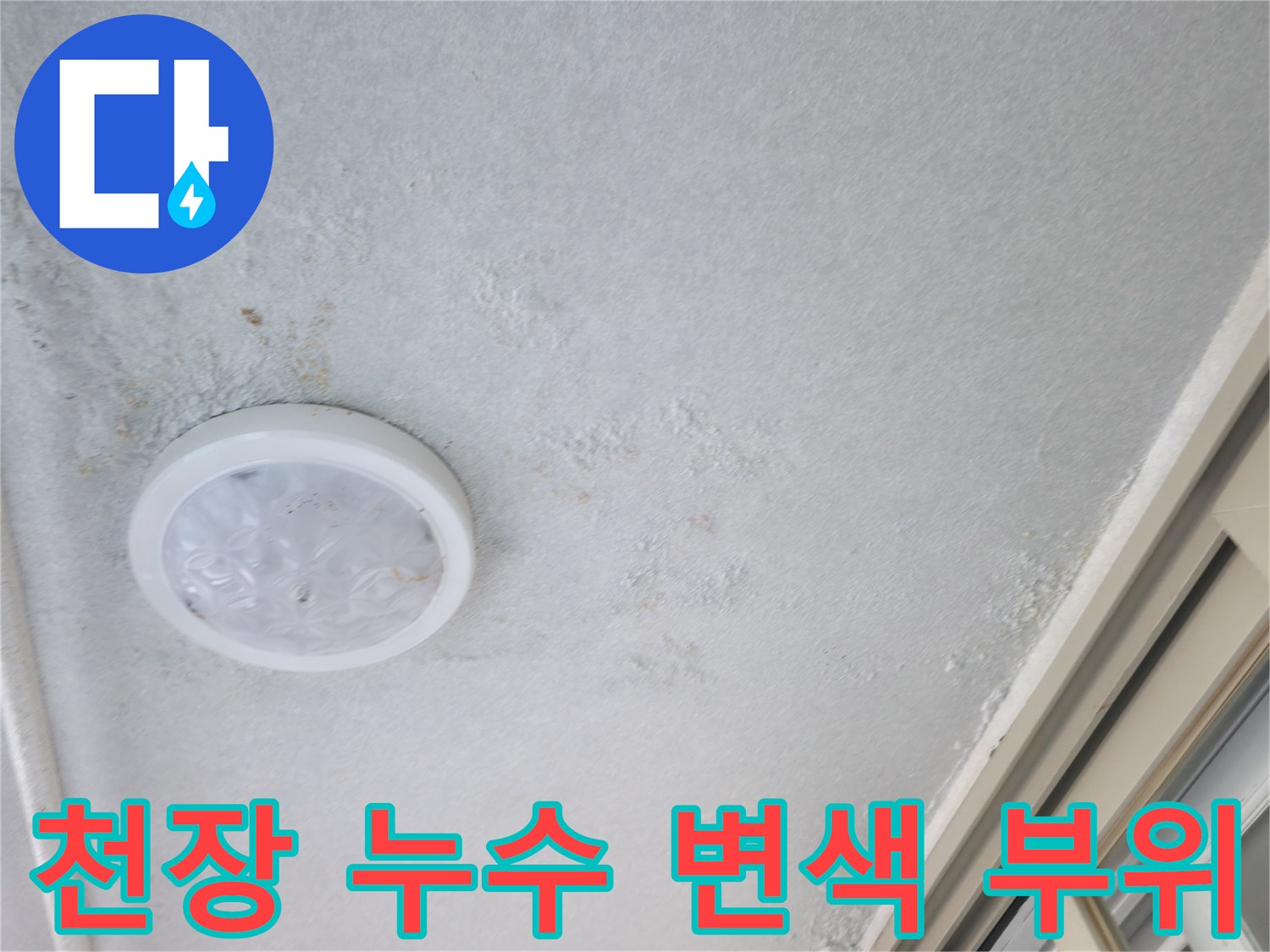 천장 조명 주변의 젖은 흔적과 곰팡이가 번진 상태