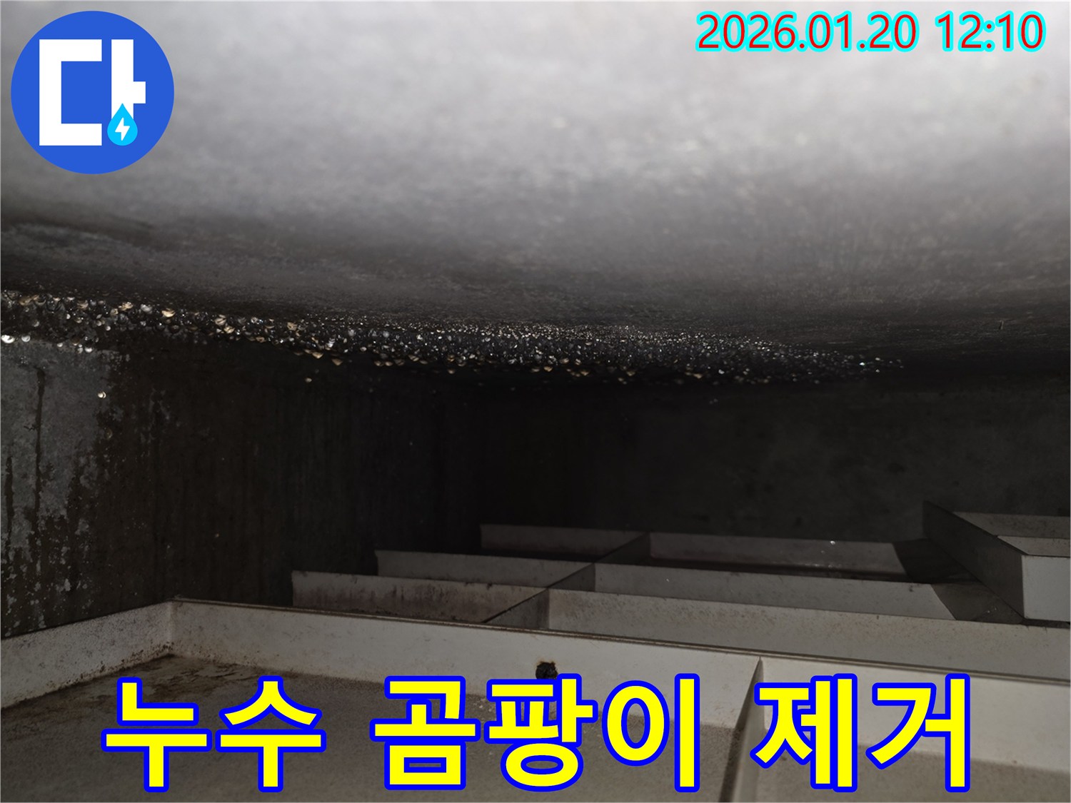 누수 곰팡이 제거 - 건강하고 쾌적한 환경 조성