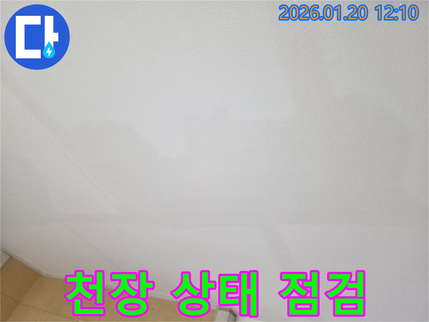 샘골로4길 누수 - 천장 상태를 면밀하게 점검하는 전문 기술자의 모습입니다.