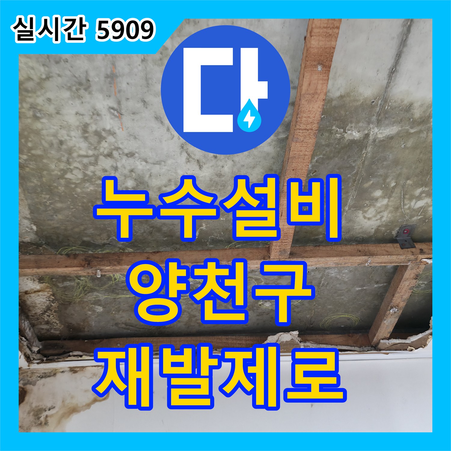 누수설비업체, 곰팡이와 물자국으로 인한 누수 피해를 복구한 양천구 현장