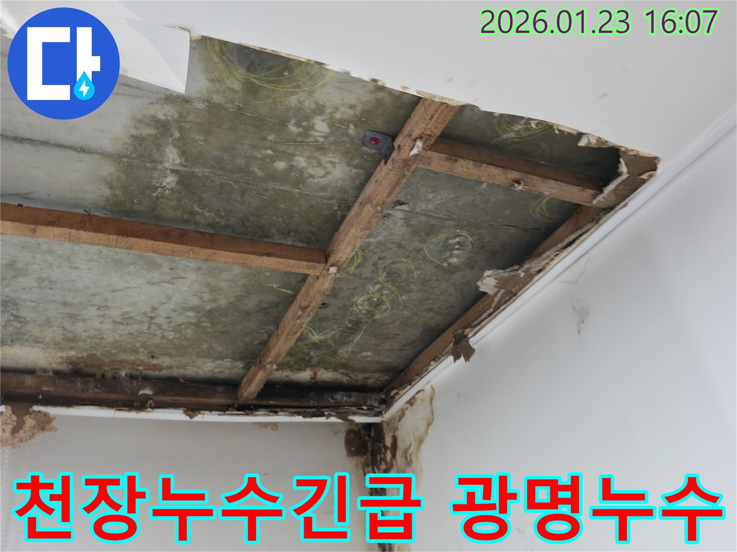 천장-누수-탐지-후-누수-지점을-명확히-표시하여-수리-계획을-세우는-장면