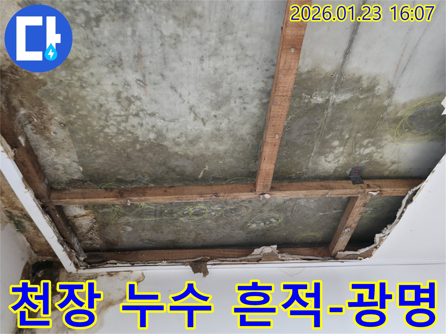 천장 누수 흔적이 심각한-콘크리트 슬라브와 나무 지지대가 노출된-광명시 누수 현장