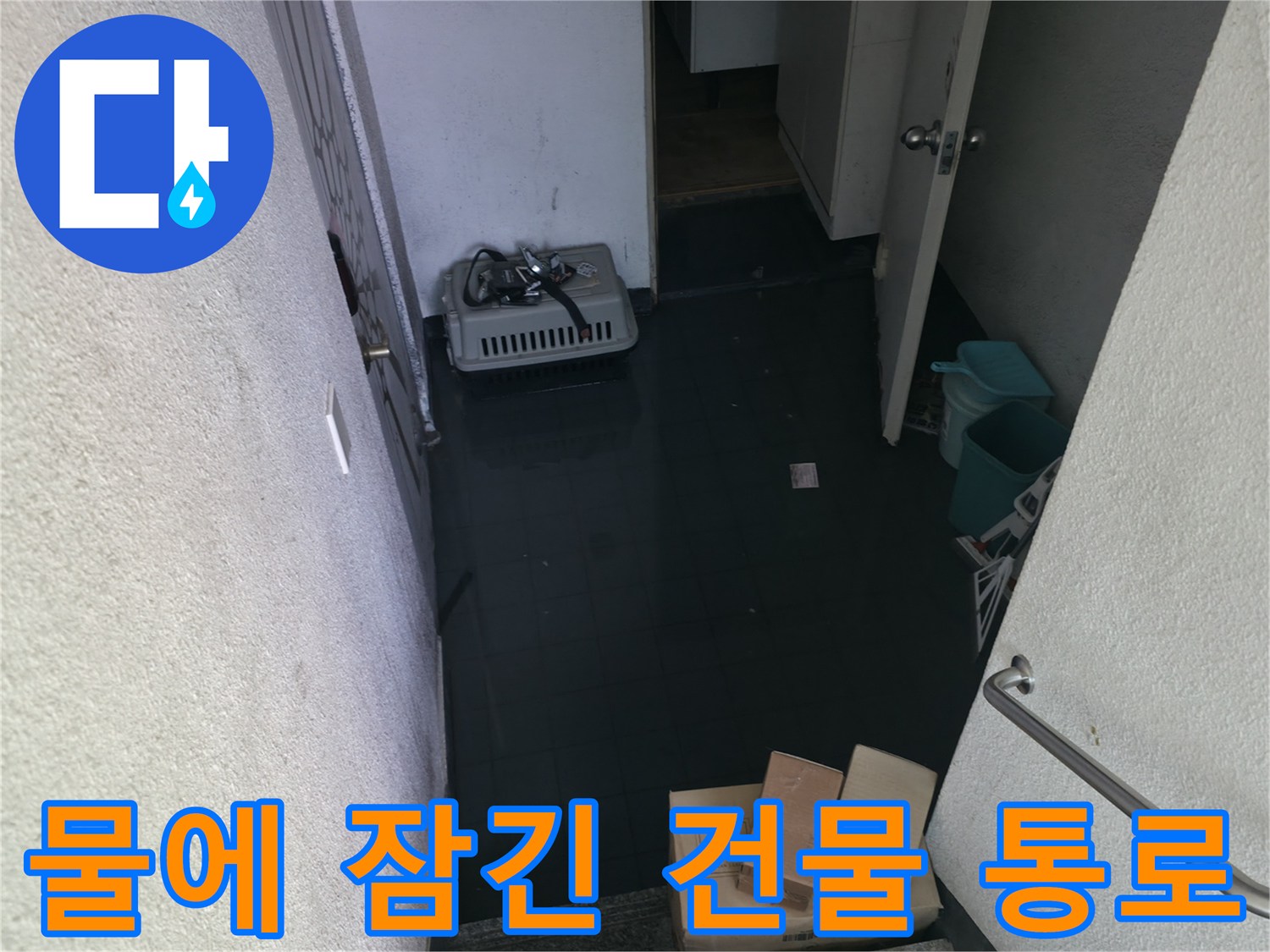 강북구 현장 점검-오수가 역류하여 고여 있는 복도 바닥
