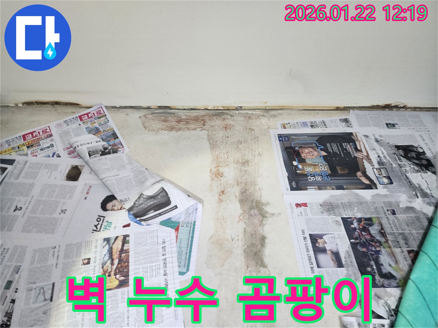 벽에 핀 곰팡이 - 누수로 인해 습기가 높아져 곰팡이가 번식한 모습입니다.