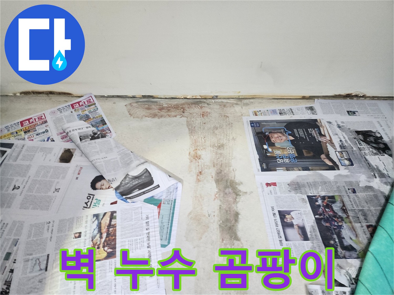 벽에 핀 곰팡이 - 누수로 인해 습기가 높아져 곰팡이가 번식한 모습입니다.