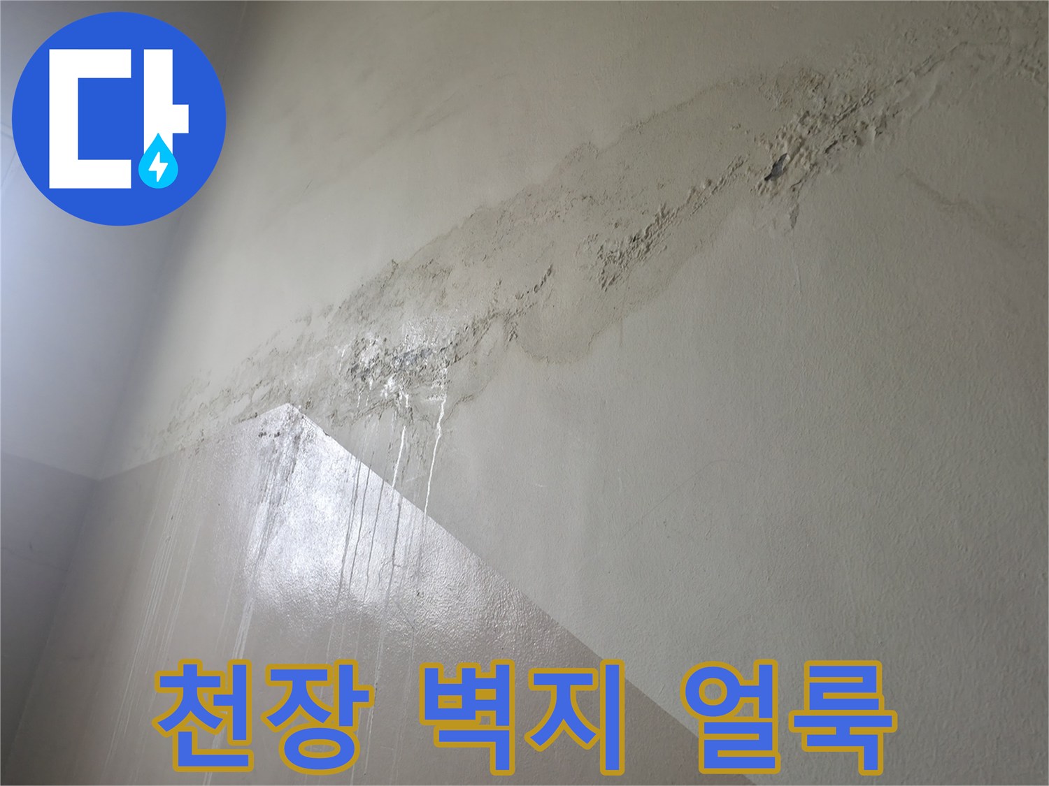 노원구 중계동 현장의 천장 벽지 변색 및 물샘 흔적 사진