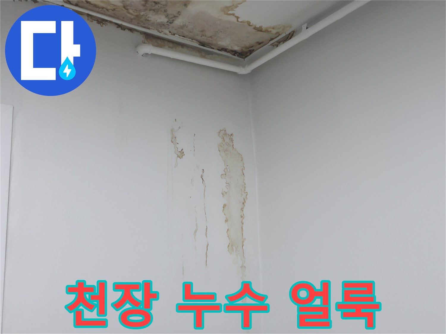 중계동 현장 점검-물샘으로 인해 변색된 천장과 벽면