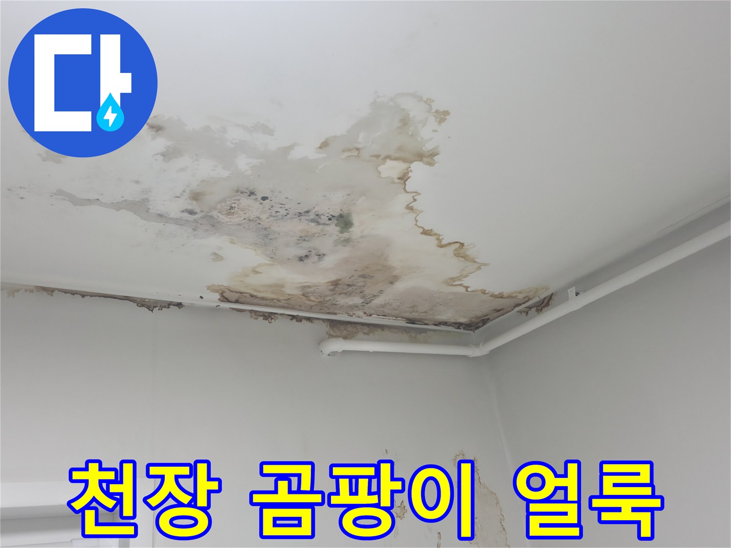 천장 석고보드 부근의 습기로 인한 곰팡이 및 변색 흔적