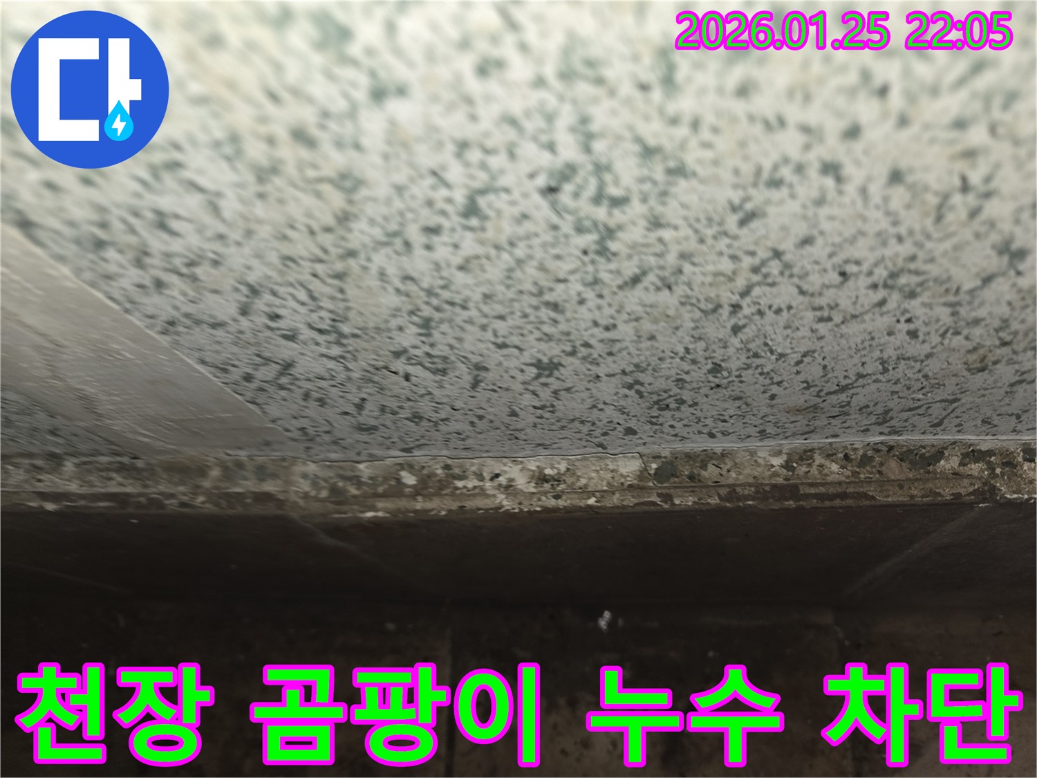 용인 모현 누수 - 꼼꼼한 누수 탐지로 천장 곰팡이 완벽 차단