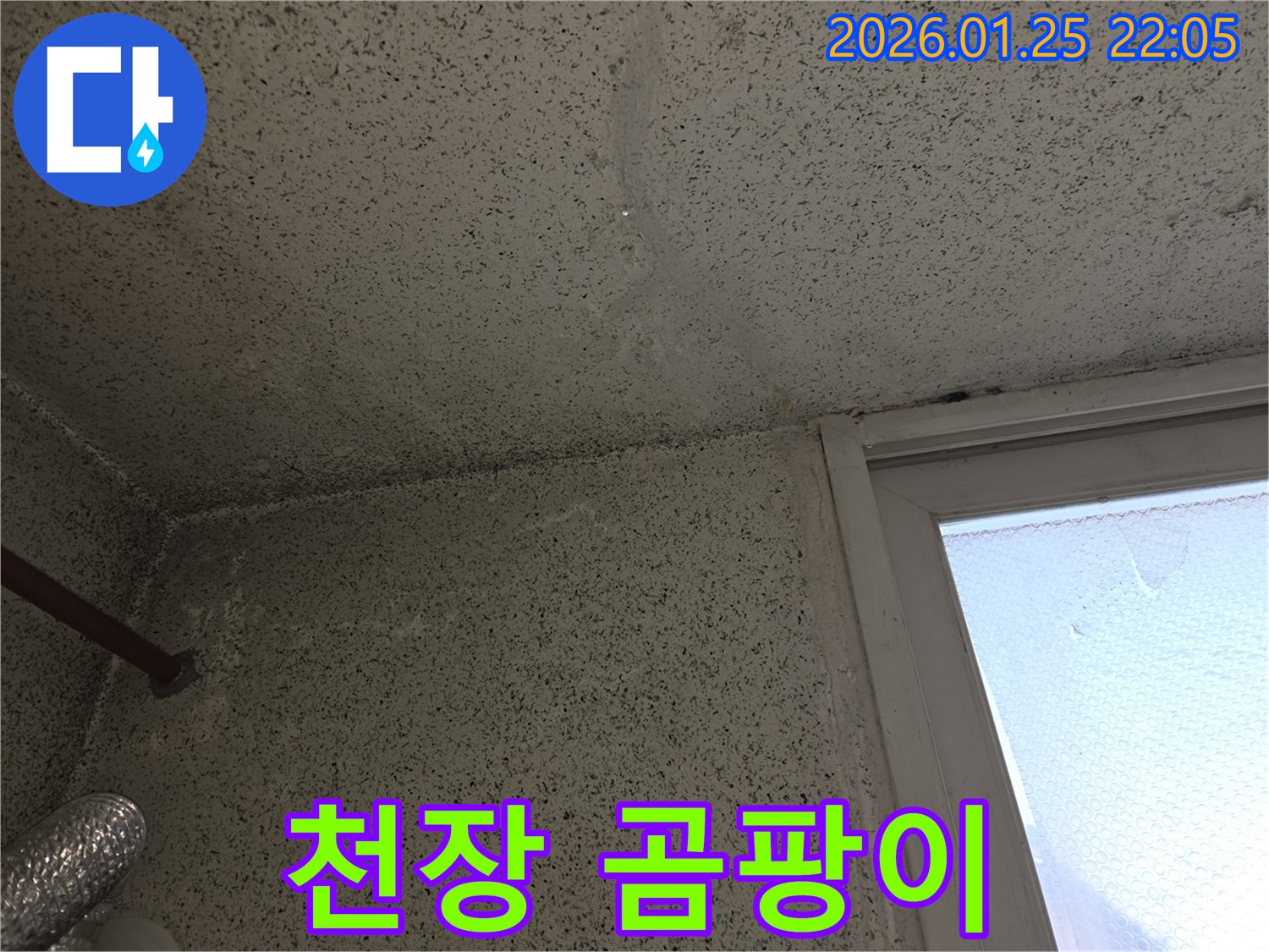천장 곰팡이 - 누수로 인해 발생한 천장의 곰팡이를 보여주는 사진, 건강상의 문제도 야기할 수 있음을 강조