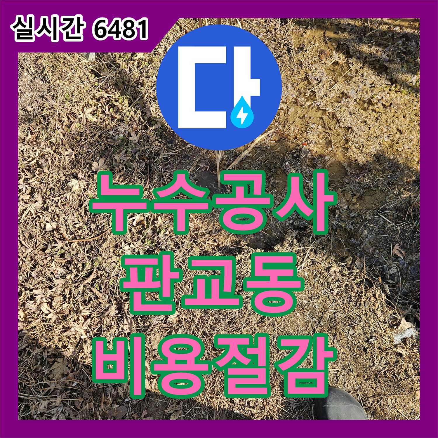 누수공사비용 - 화장실 바닥 누수, 정확한 탐지 후 합리적인 공사 진행 - 판교동