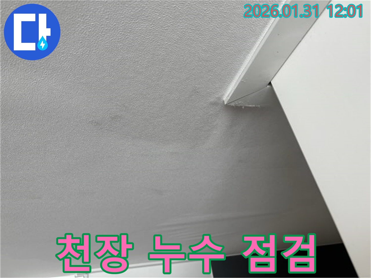 천장 누수 점검 - 누수 전문가가 천장 누수 부위를 점검하는 모습입니다. 정확한 원인 파악을 위해 꼼꼼하게 확인합니다.
