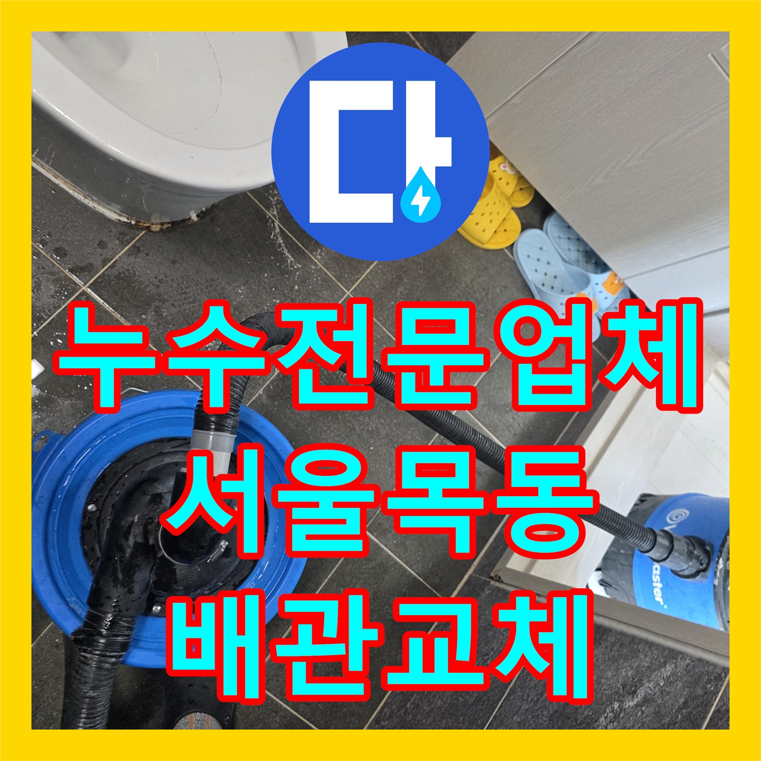 누수전문업체 빈집 보일러실 배관 동파로 인한 아랫층 피해 복구 과정 서울 양천구 목동