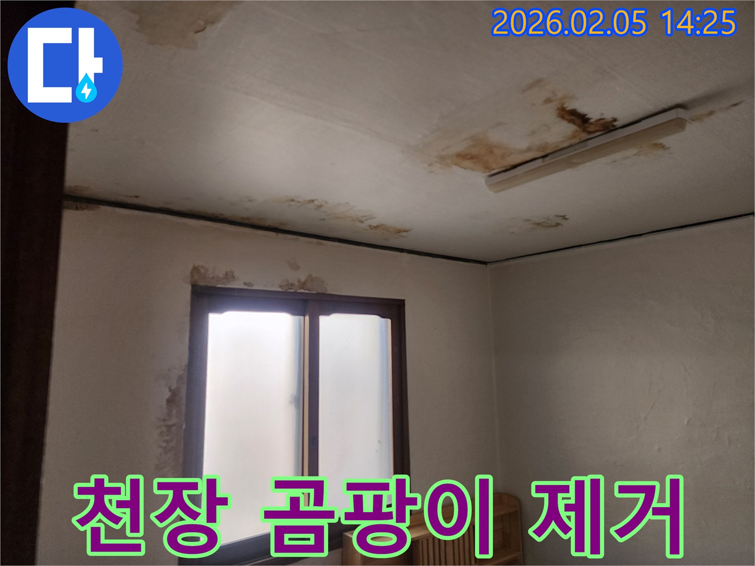 누수로-인해-천장에-발생한-곰팡이를-제거하기-위한-작업-전-현장-모습입니다
