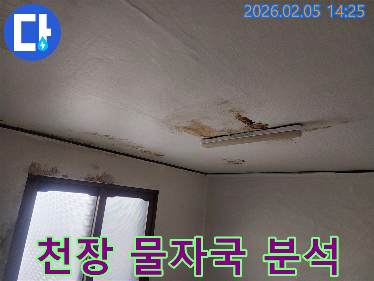 천장-누수로-인한-물자국과-곰팡이-발생-현장을-정밀-분석하는-사진입니다