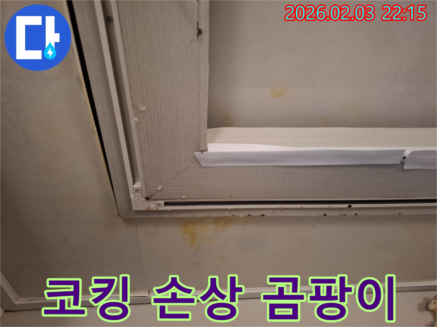창문 틈새 코킹 손상으로 인한 벽지 곰팡이 - 코킹 보수와 곰팡이 제거로 해결!