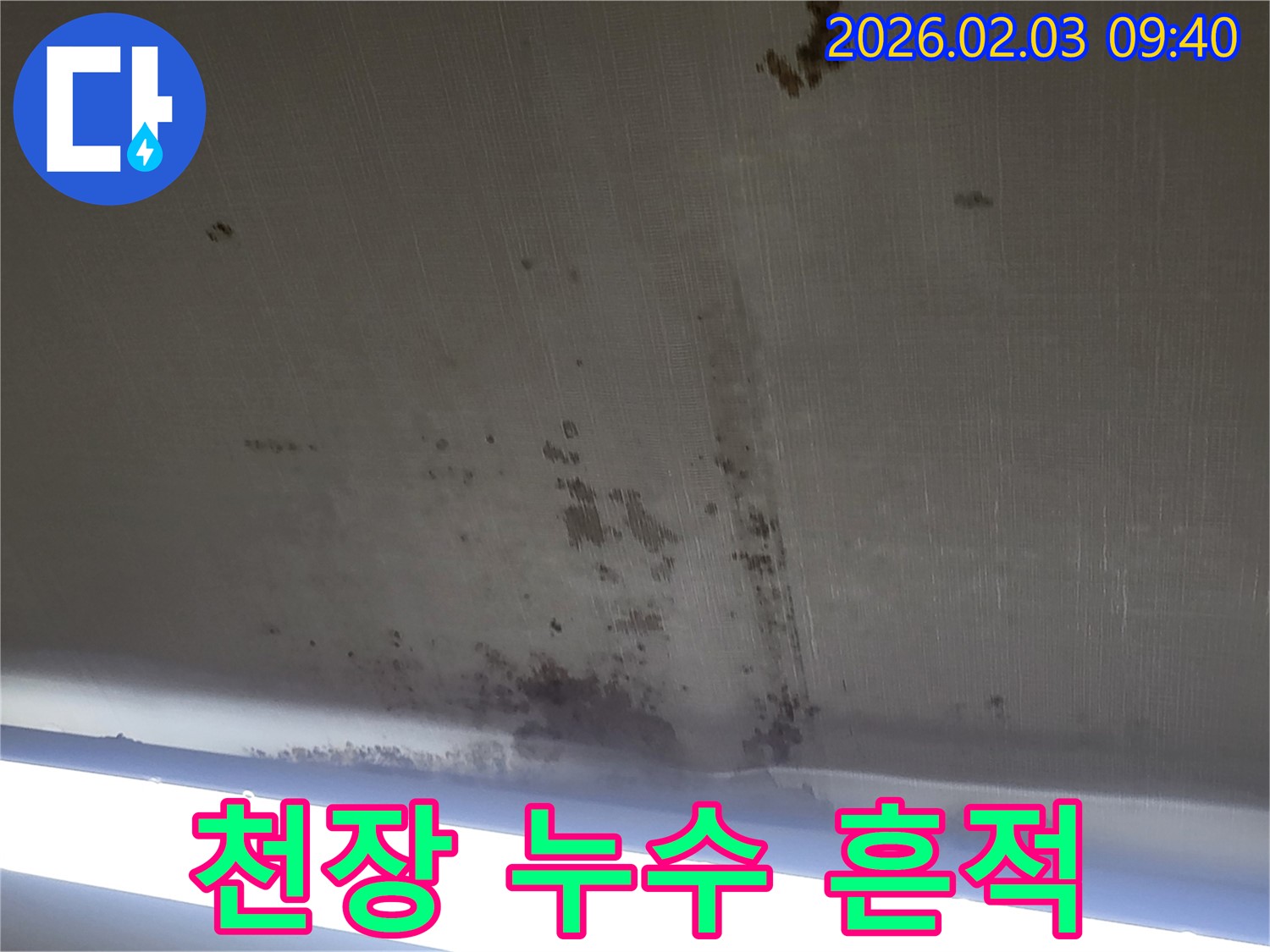 오산 운암동 천장 누수 현장 - 누수 흔적과 곰팡이가 심각한 상태를 보여줍니다.