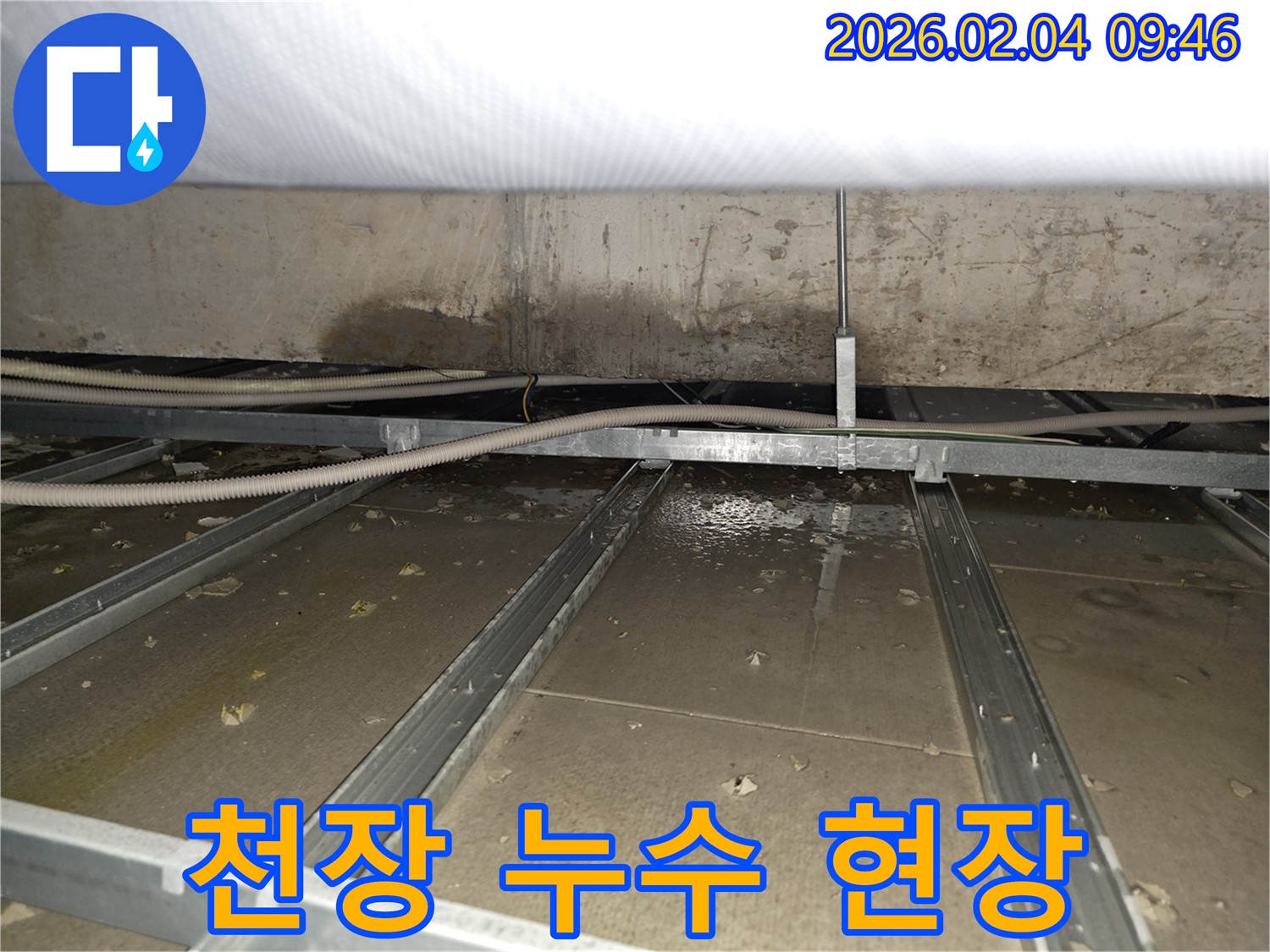 양천구 목동에서 발생한 천장 누수 현장 - 누수탐지 전문가의 꼼꼼한 점검과 정확한 진단