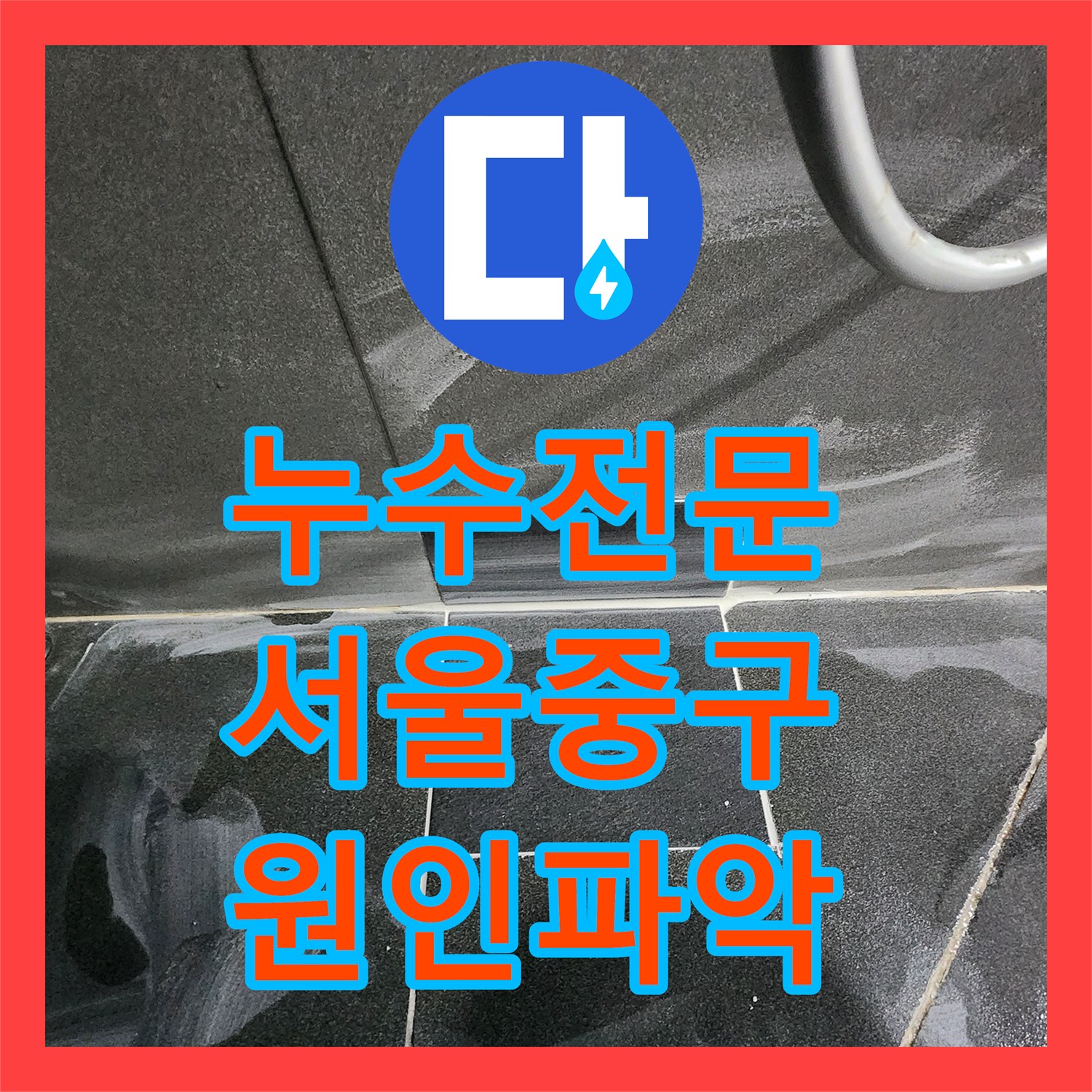 누수전문 동물병원 아래층 천장 물샘 원인 파악 및 배관 보수 서울 중구
