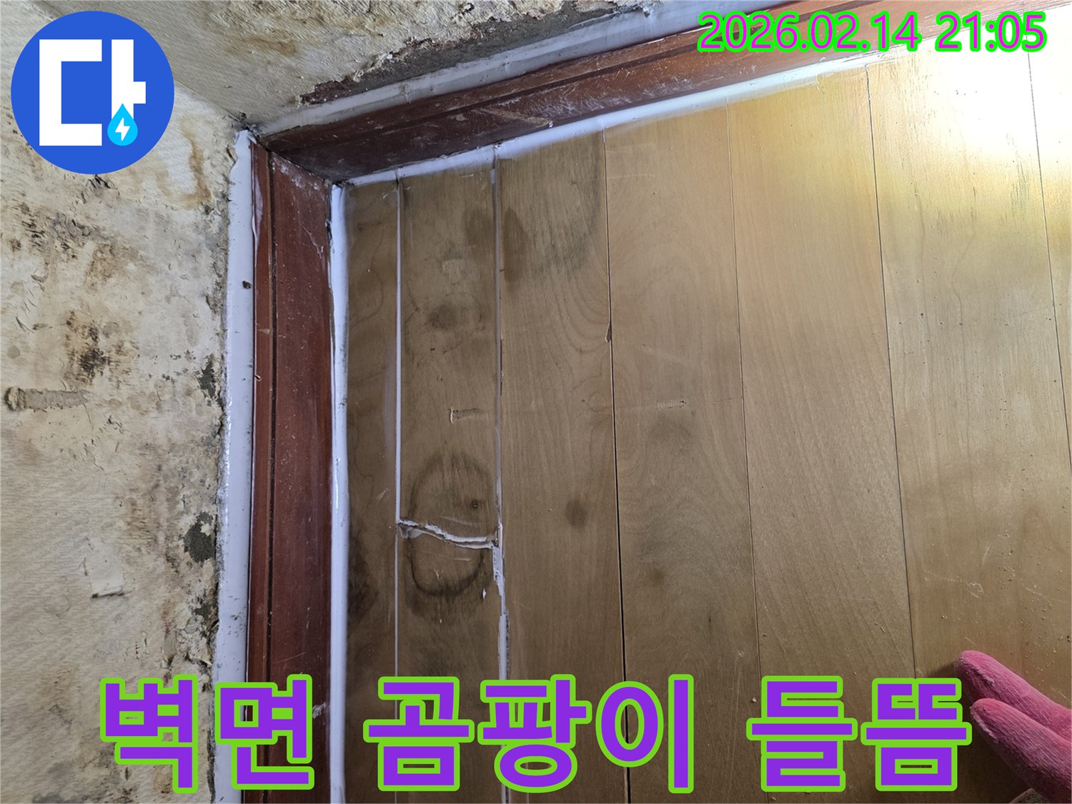 누수로 인해 벽면에 생긴 곰팡이와-들떠버린 마루 바닥의 손상 부위를-선명하게 보여주는-누수 현장 기록 사진입니다.