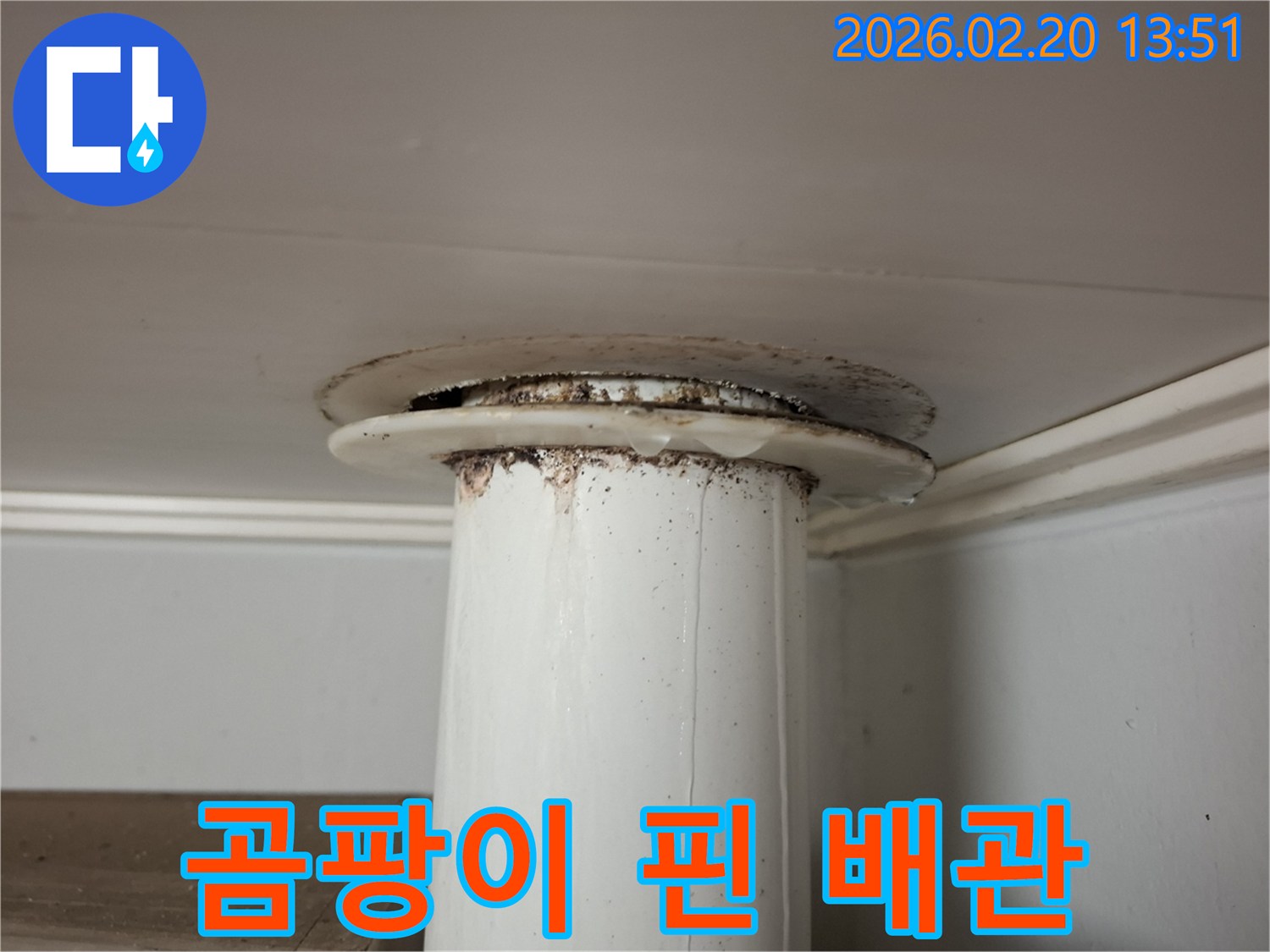 천장 배관 주변에 물이 새어-검은 곰팡이가 핀 모습을 담은 누수 현장 사진