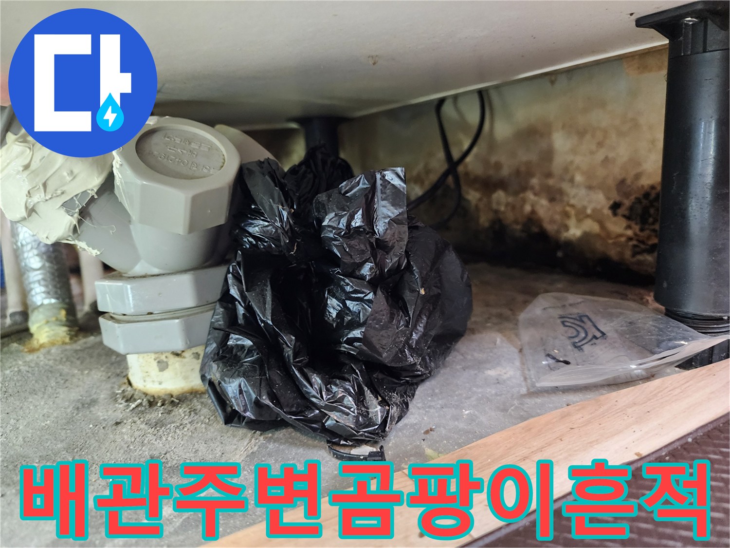 하수도-배관-연결부-주변의-검은-곰팡이와-습기흔적