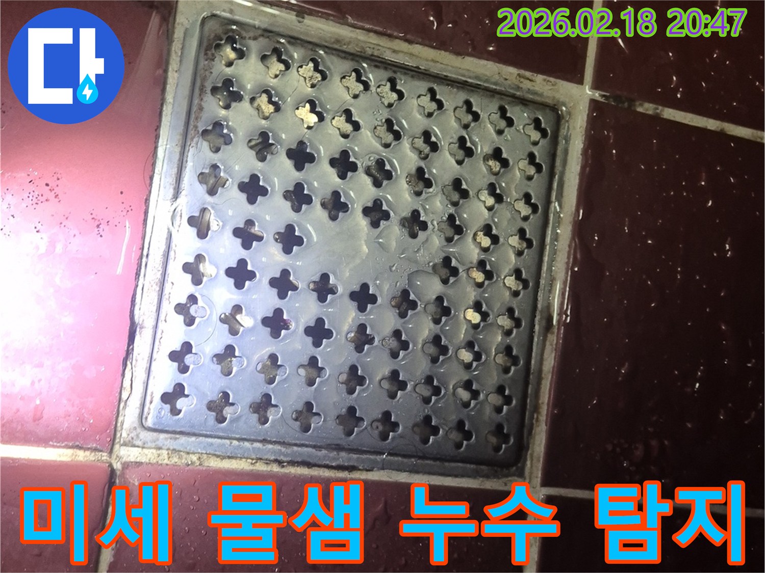 양주 백석읍 화장실 배수구-주변에 미세하게 물이 고여있는-누수 현장을 정밀하게 탐지