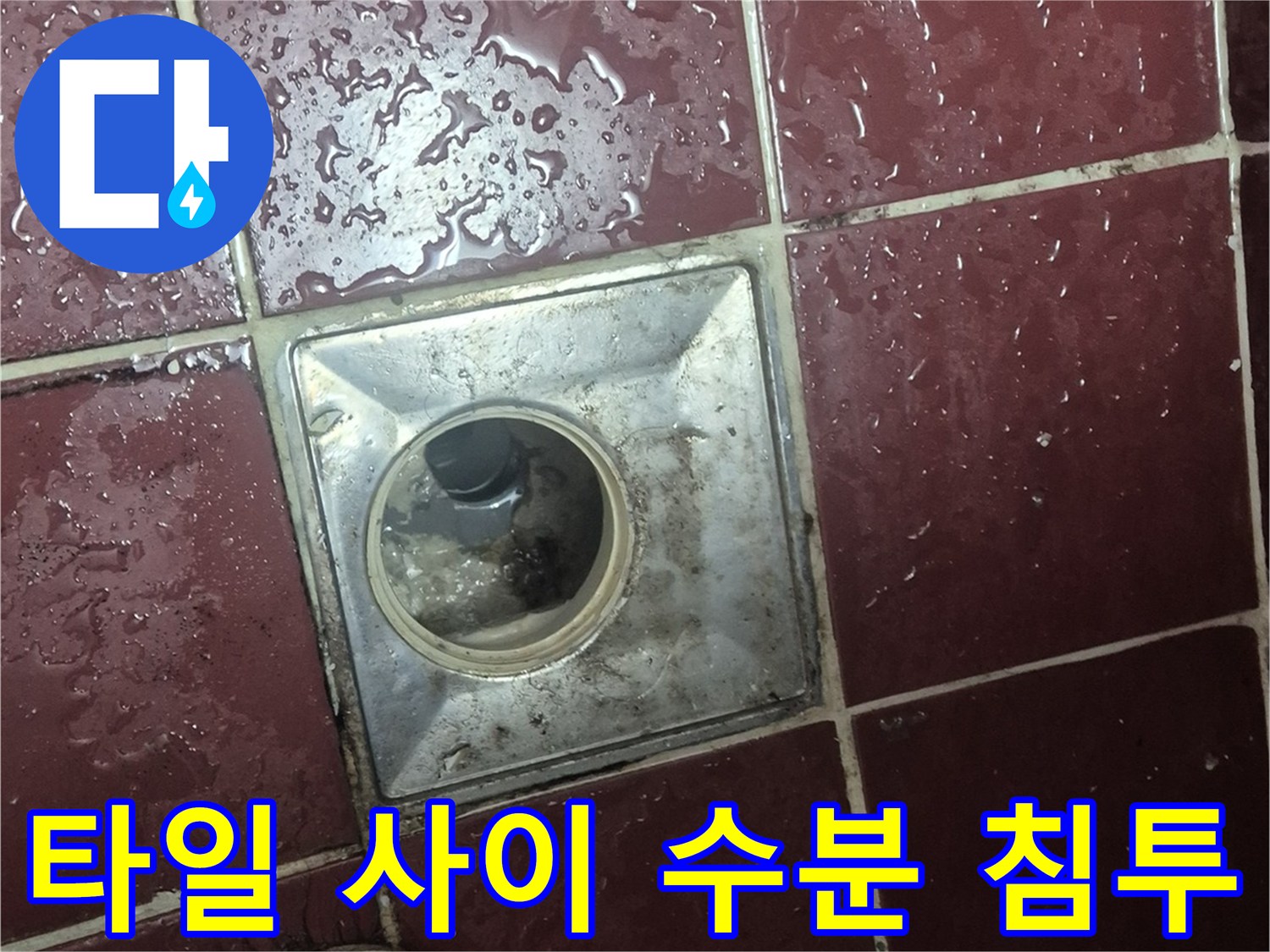 양주시-욕실-배수구-유가-주변-습윤-상태
