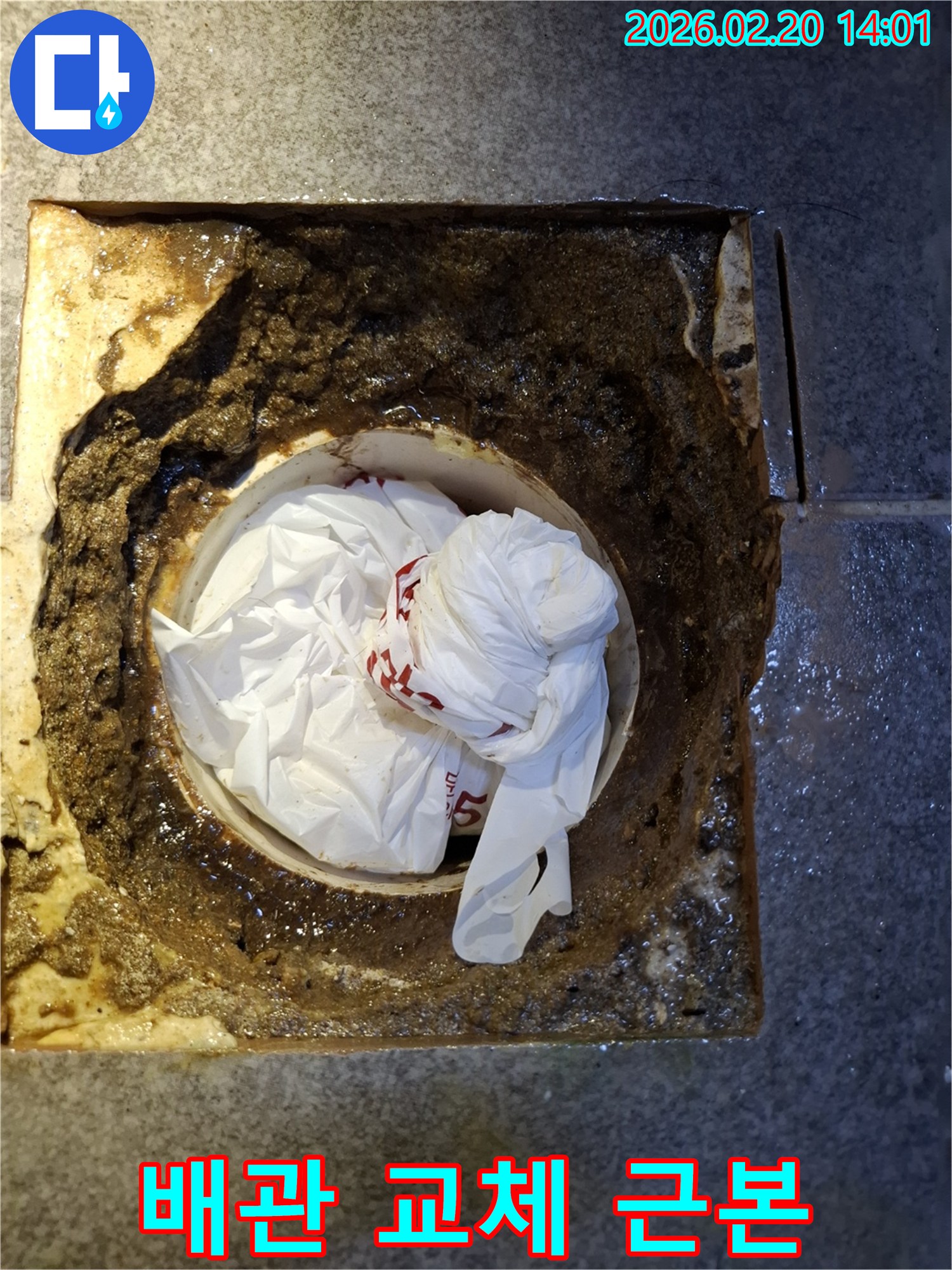 오물과 비닐로 심각하게 막힌 노후 배관-누수 재발 방지를 위한 교체 작업 현장