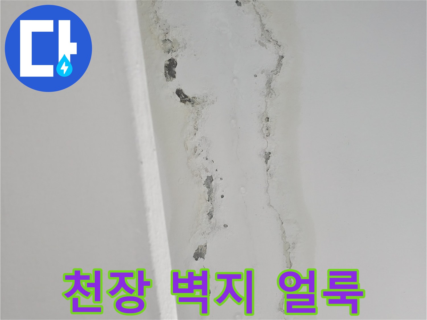 습기로 인해 변색되고 젖어 있는 천장 마감 부위