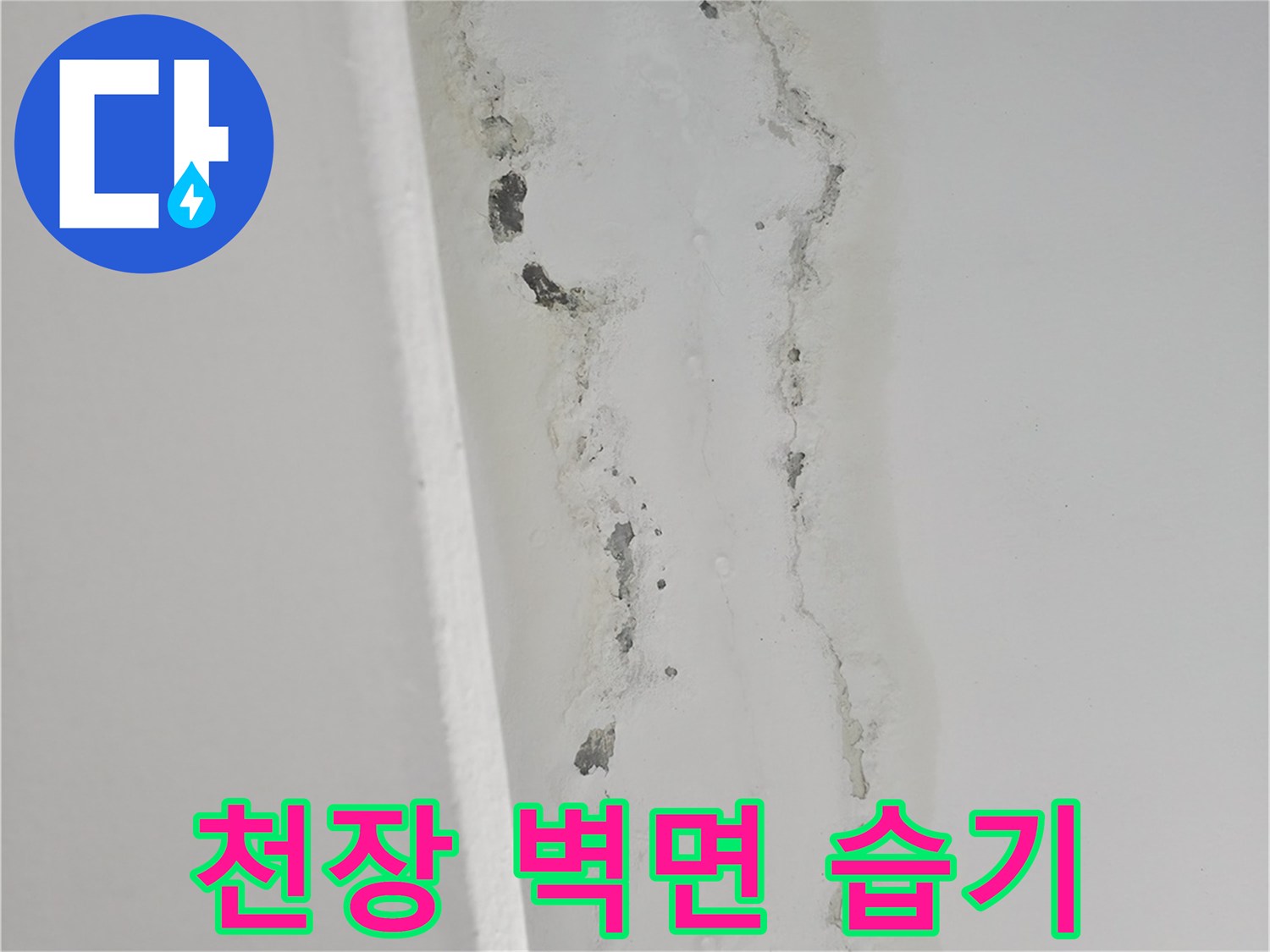주방-천장-벽면의-물샘-흔적과-습기-침투-부위