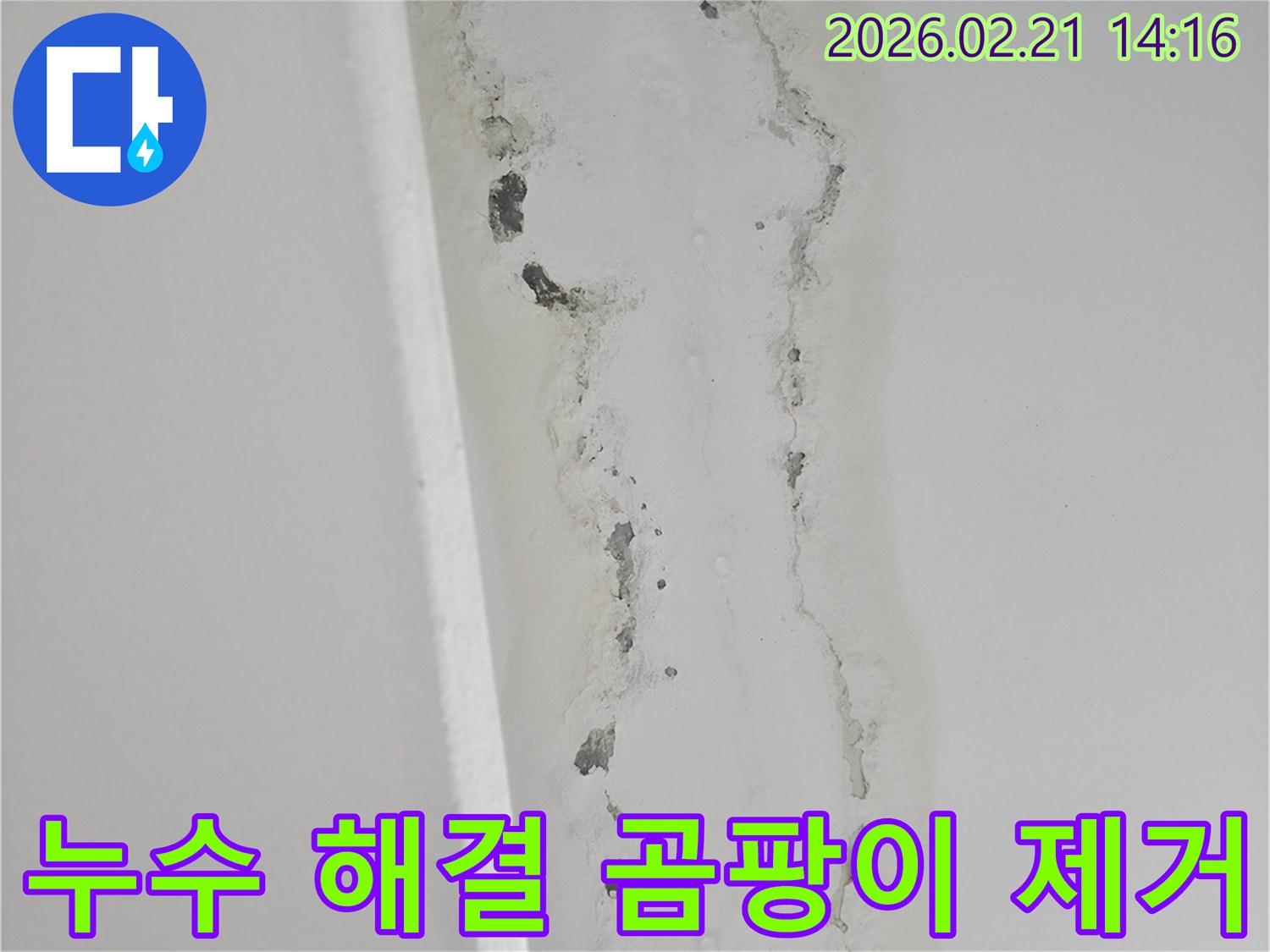 천장-누수로-인해-벽면에-발생한-심각한-곰팡이와-물자국을-보여주는-사진