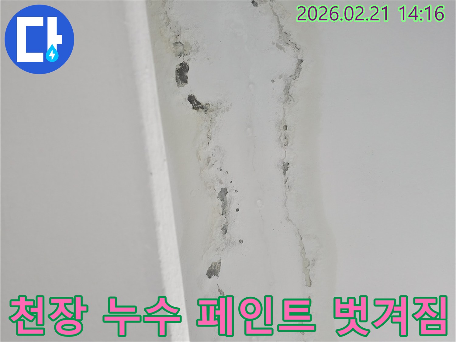 천장-누수로-인해-벽면의-페인트가-벗겨지고-곰팡이가-번진-모습