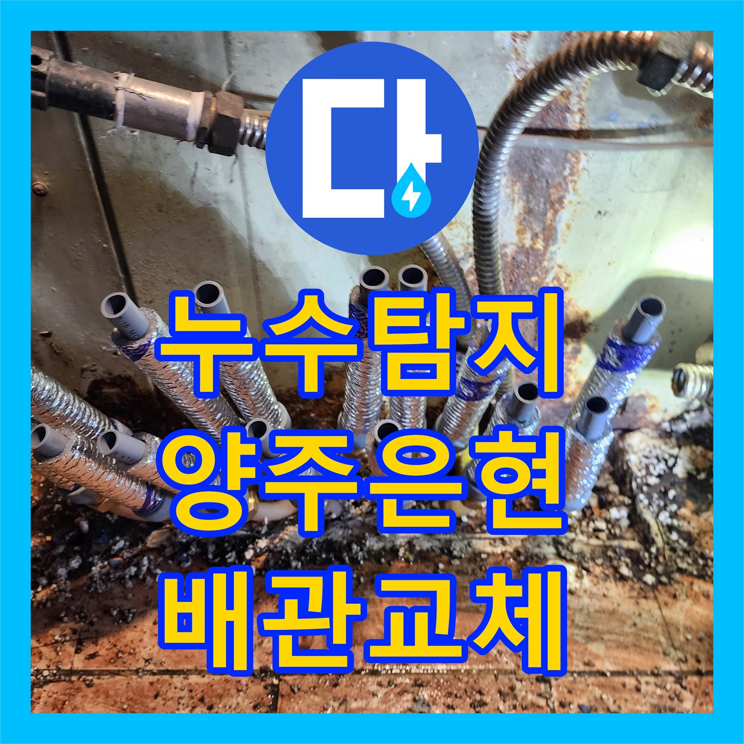 누수탐지 상가 화장실과 주방 배관의 복합적인 물샘 지점을 찾아 수선한 경기 양주시 은현면 현장