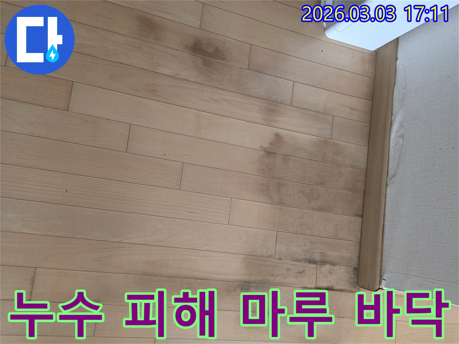 오랜 기간 누수로 인해 마루가 손상되고 곰팡이가 피어난 모습입니다-신속한 조치가 중요합니다