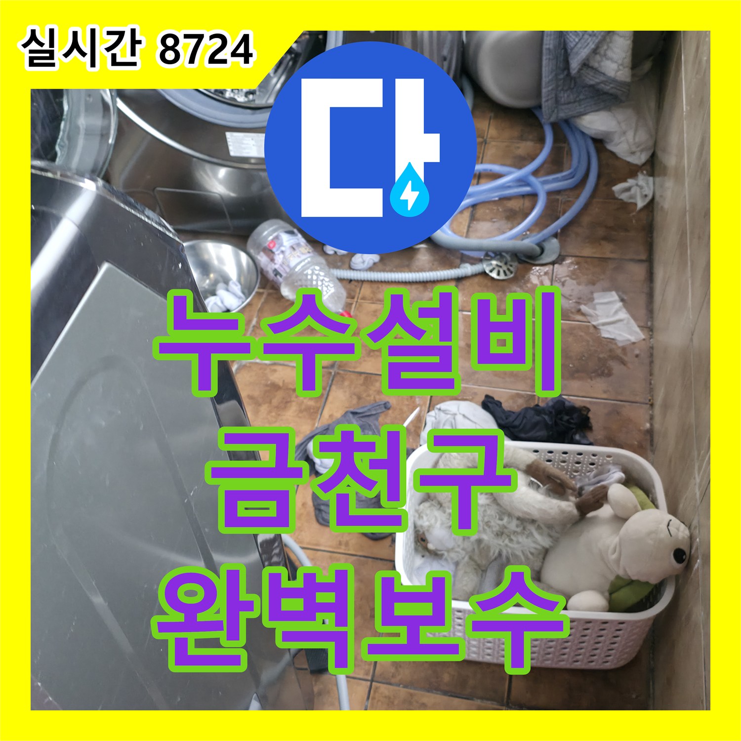 누수설비, 벽지 물얼룩 누수 지점, 근본적인 해결 방안, 서울 금천구