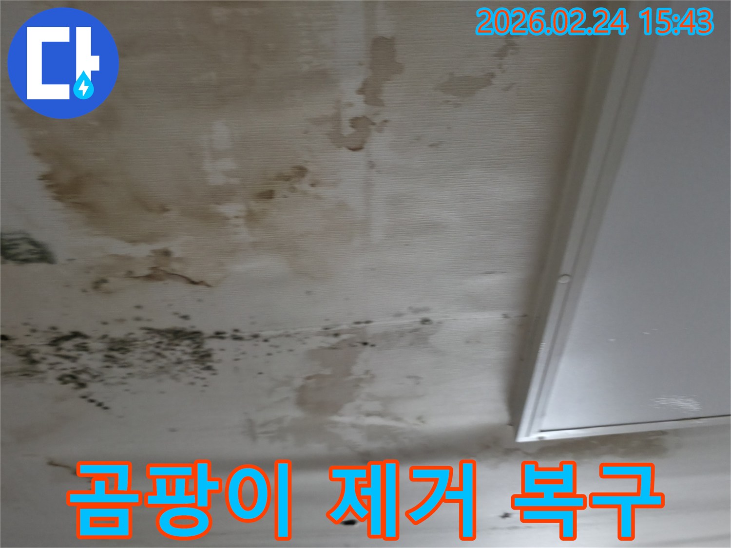 천장 누수로 인해 발생한 곰팡이를 제거하고-깨끗하게 복구해야 하는-현장 상황