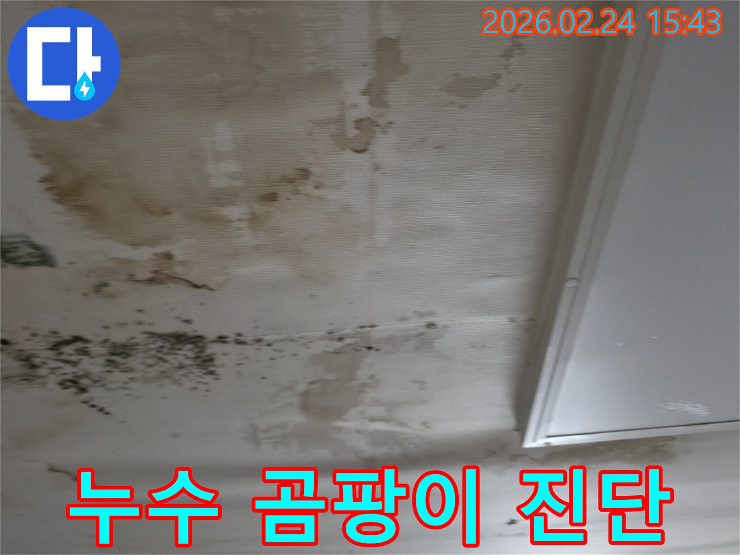 천장 벽지에 생긴 물자국과-검은 곰팡이를 통해-누수 발생 위치를 추정하는 모습