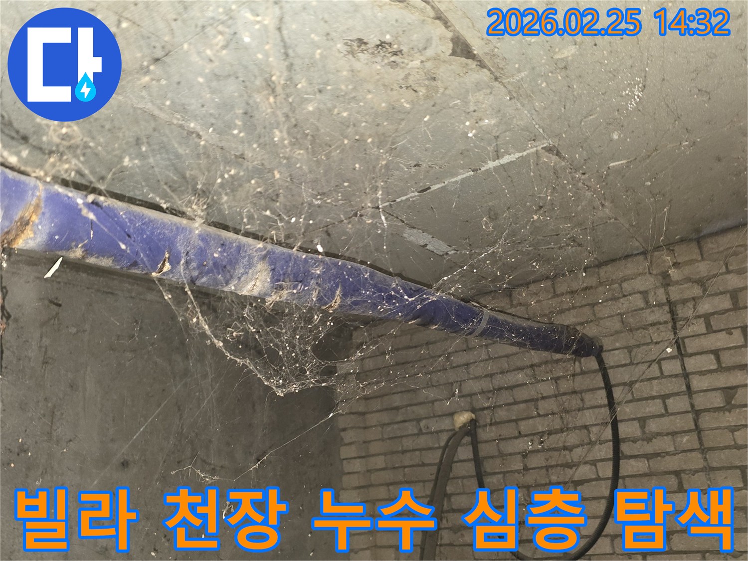강동구 진황도로 인근 빌라-지하 천장에 거미줄이 엉켜있는-누수 원인 탐색 전-현장 준비 모습을 담은 사진입니다.