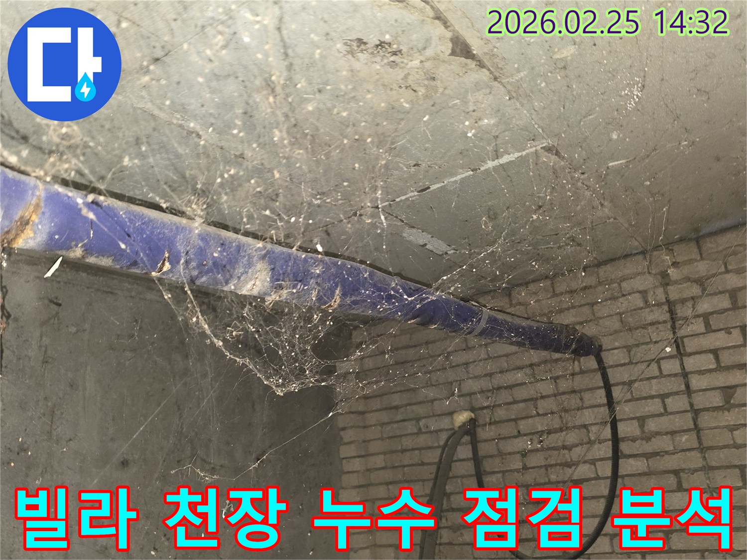 강동구 진황도로 인근 빌라-지하 천장에 거미줄이 엉켜있는-누수 점검 전-현장 준비 모습을 담은 사진입니다.