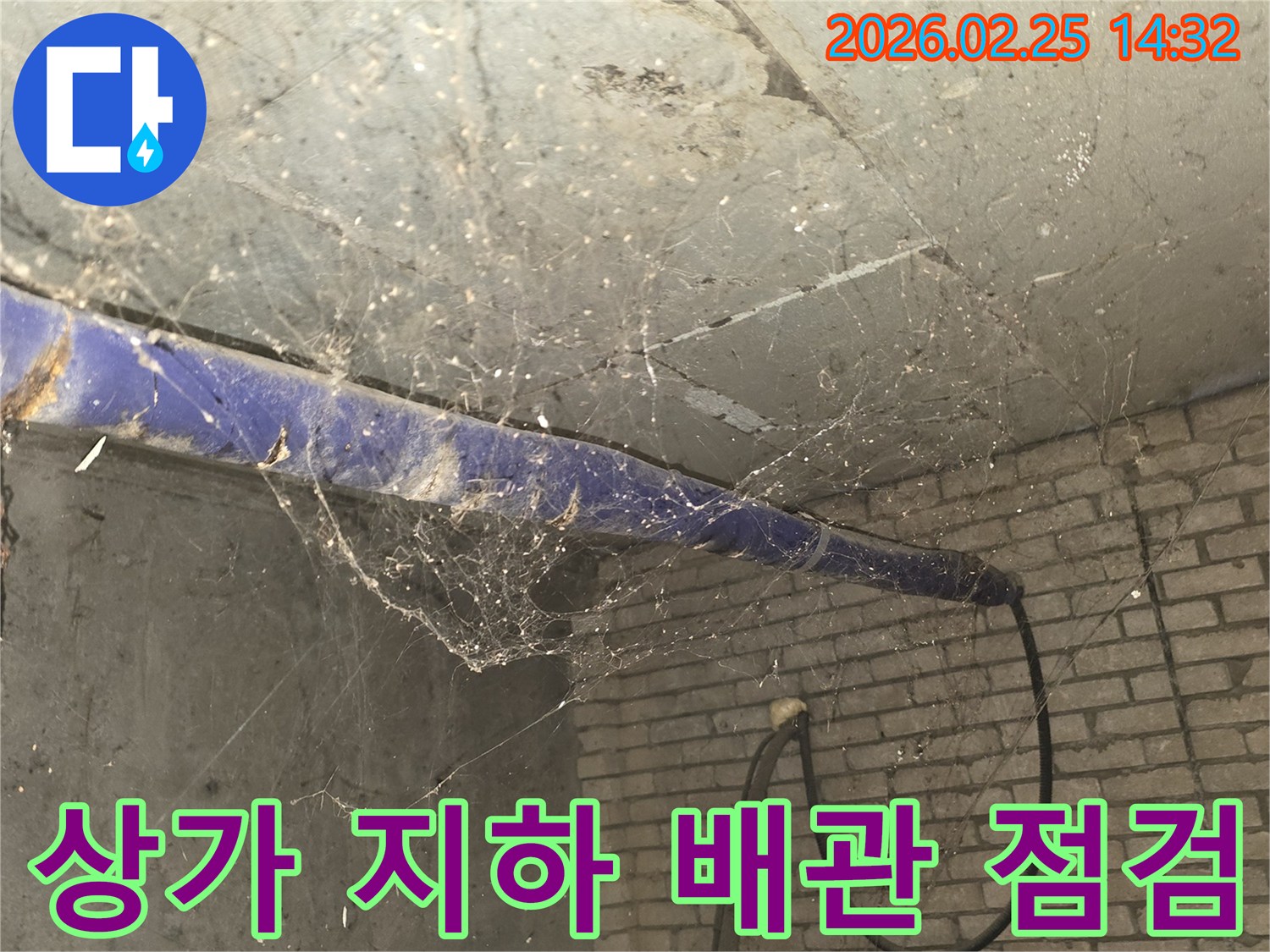 강동구 진황도로 인근 상가-지하 천장 배관 주변에-거미줄이 엉켜있는-누수 정밀 점검 전-현장 준비 모습을 담은 사진입니다.